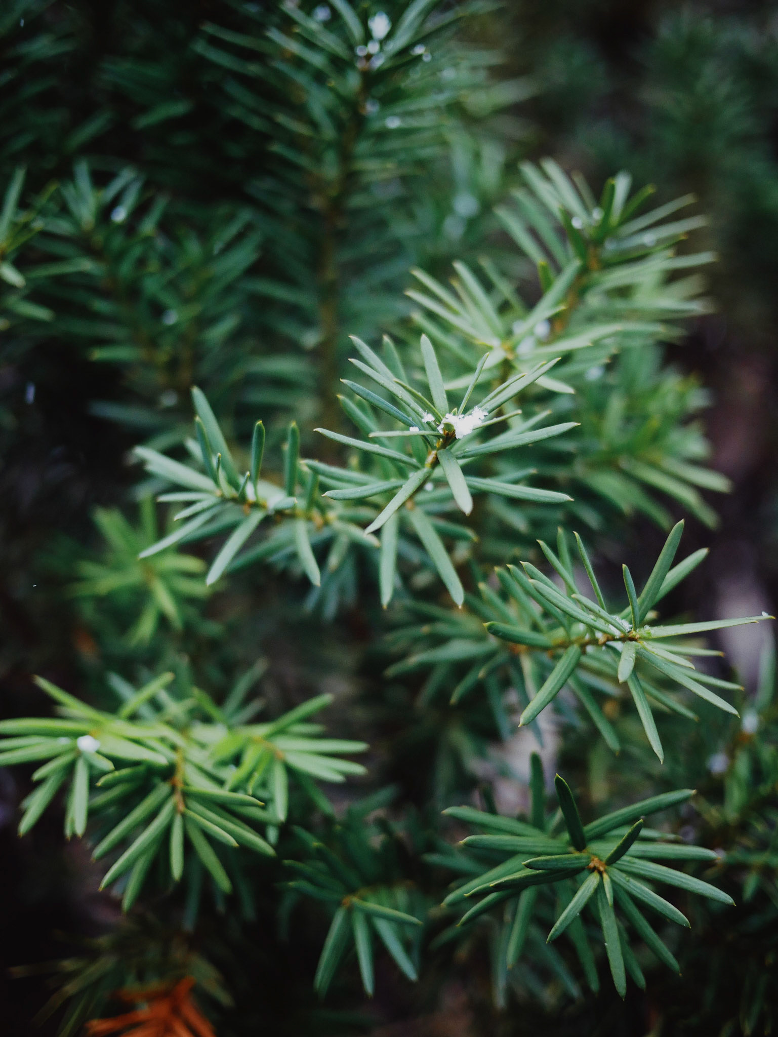 Processed with VSCO with av4 preset