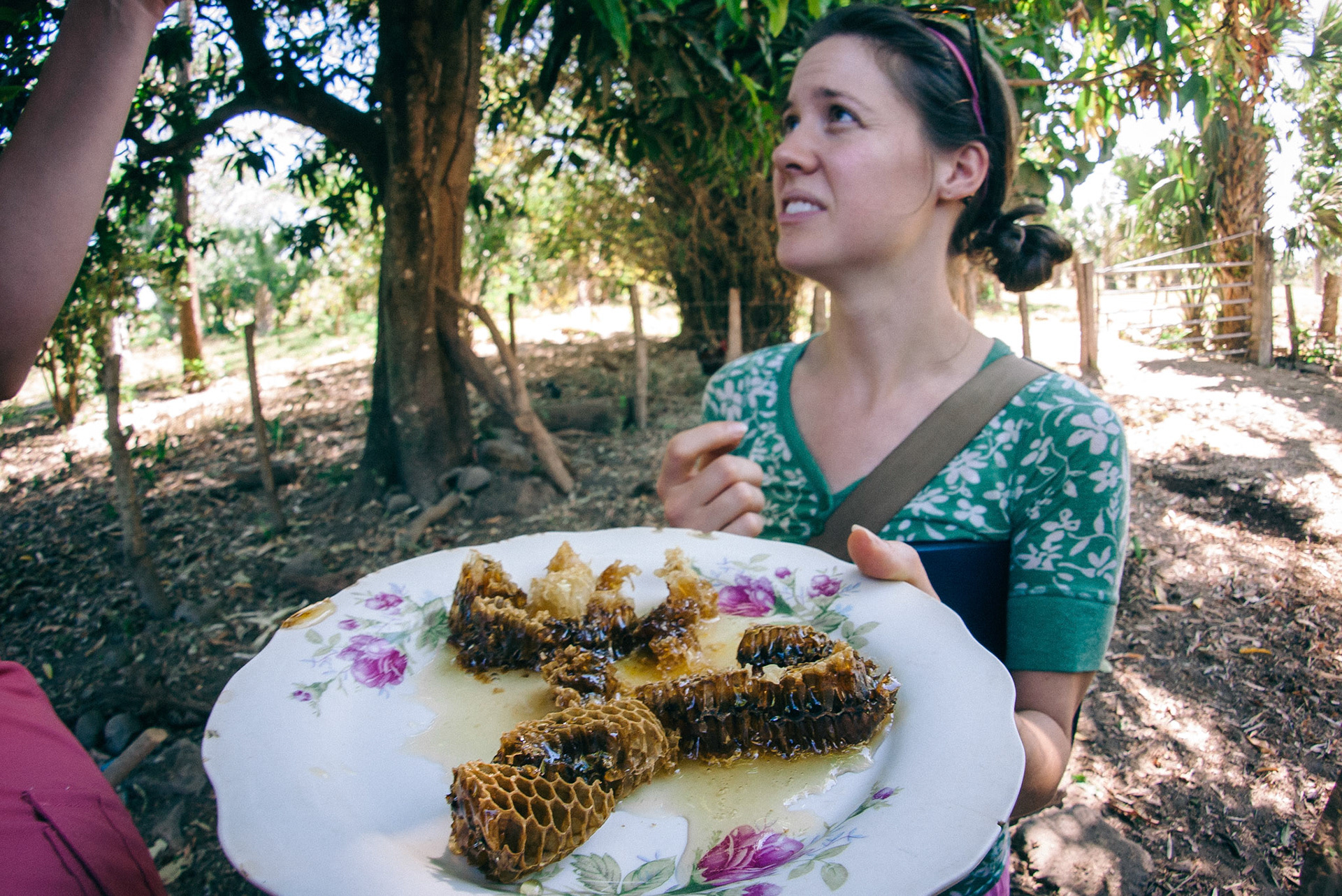 There really is nothing like fresh honeycomb.