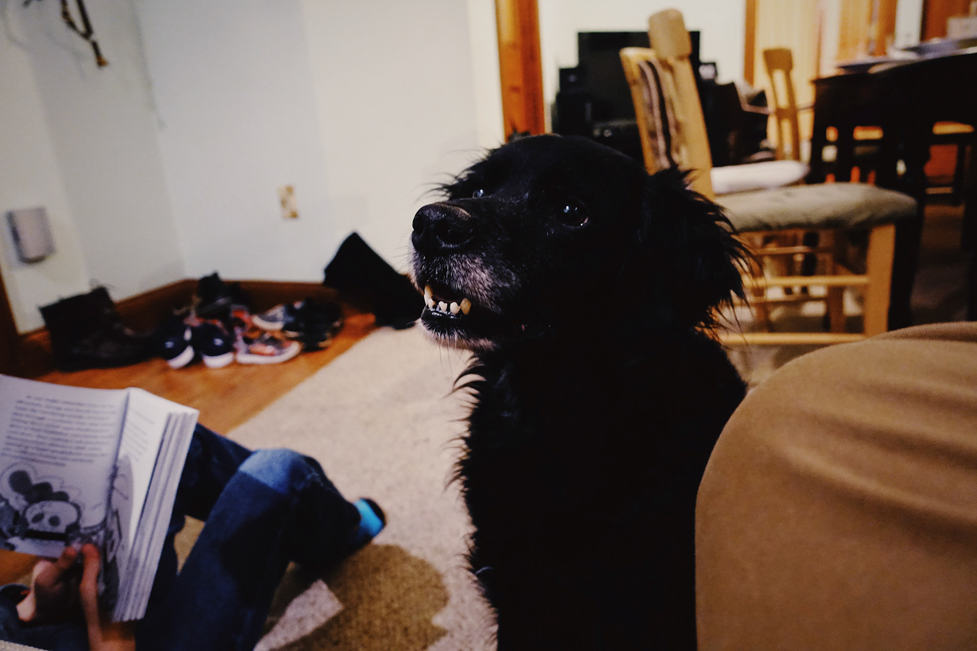                                 Processed with VSCO with ke1 preset