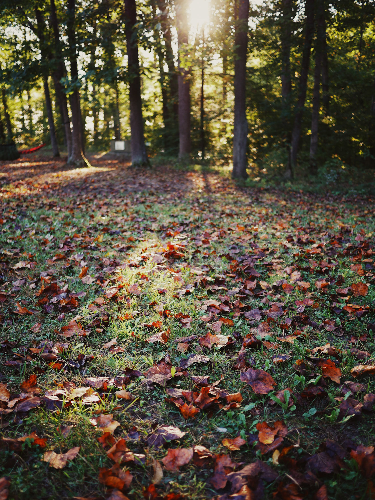 Processed with VSCO with av4 preset