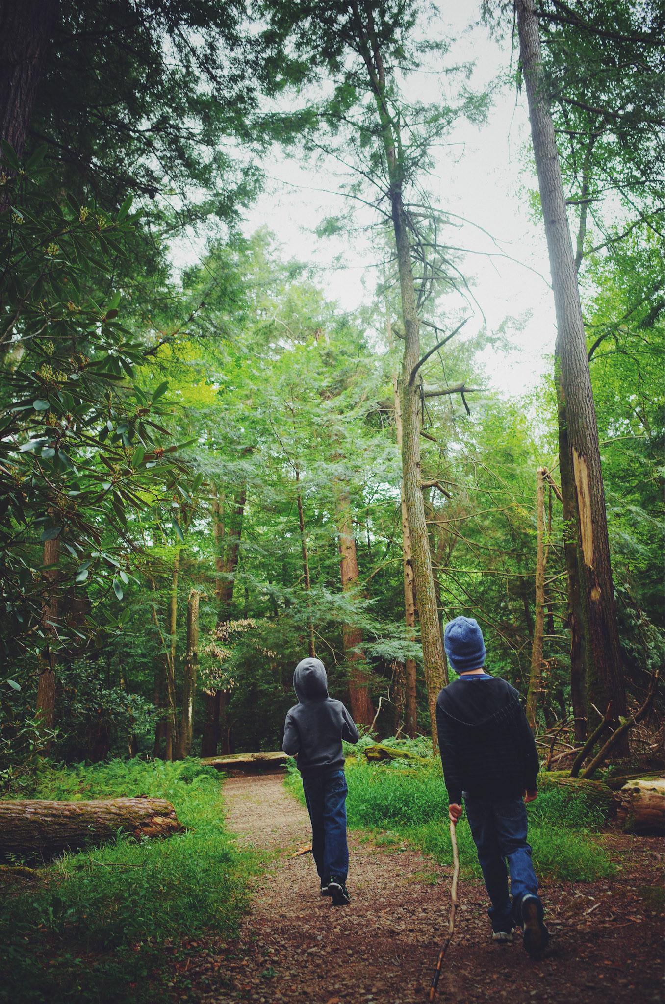                                                                 Processed with VSCO with f2 preset