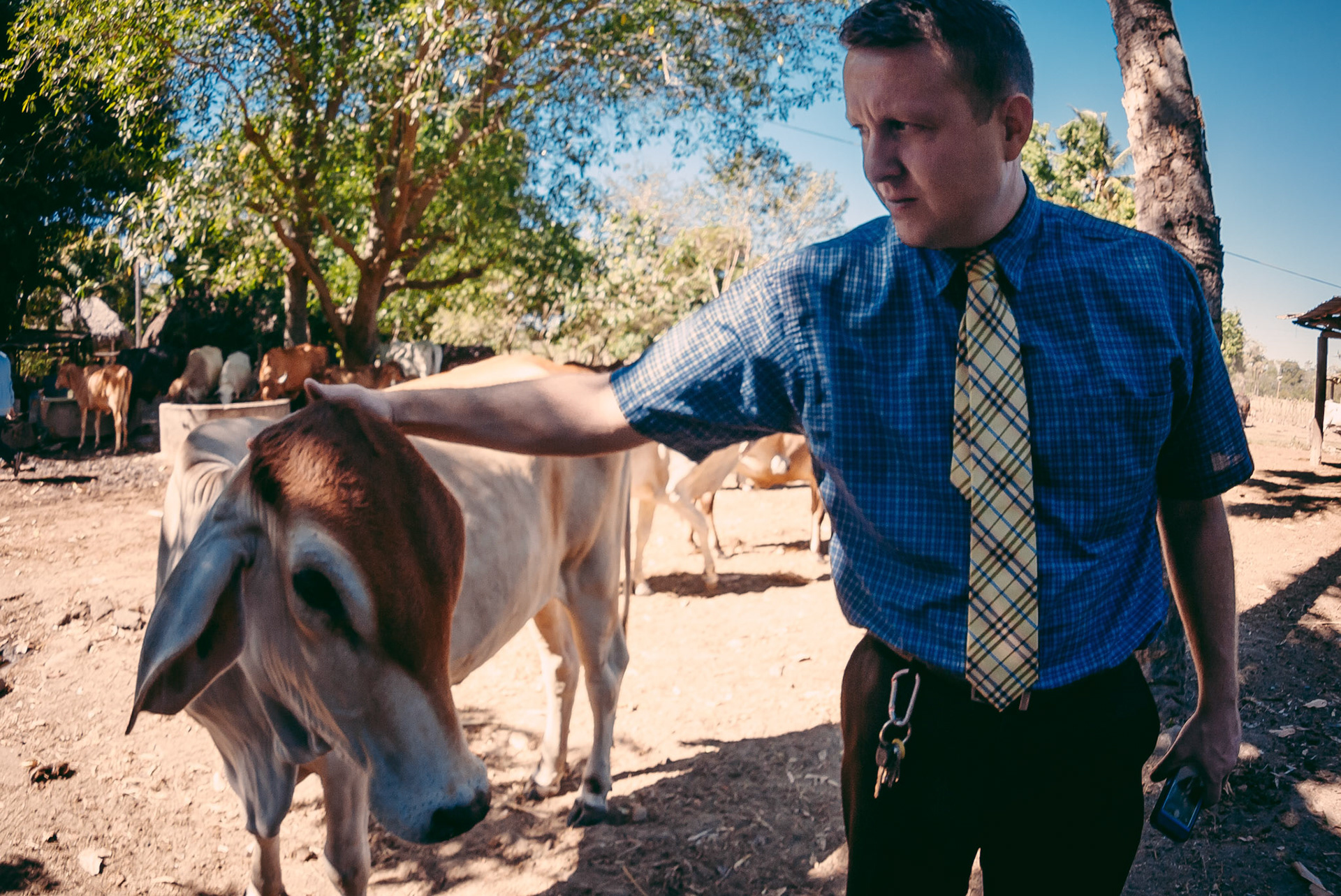 Nathan tried to preach to this cow but it wasn't in the moooooood!