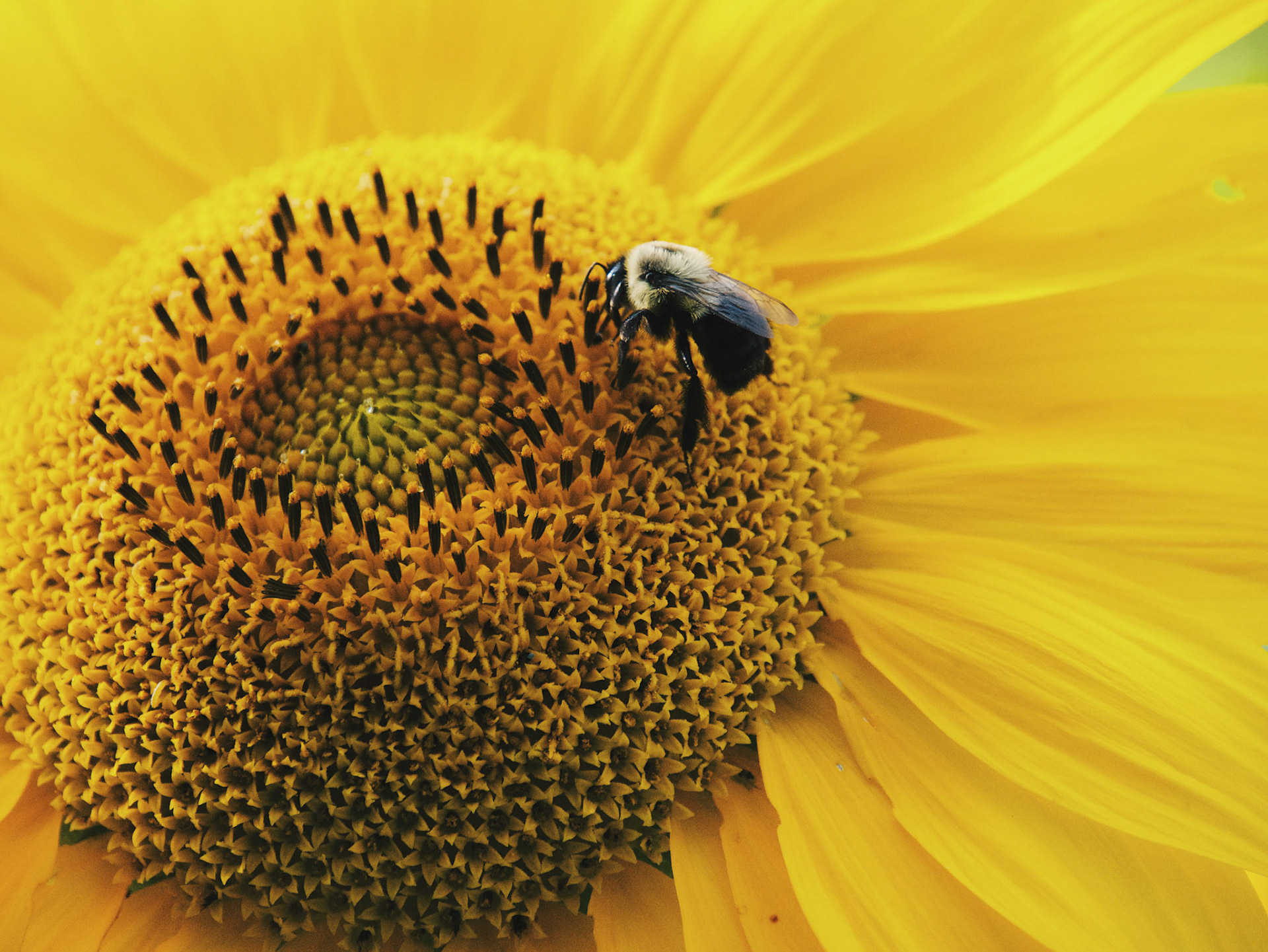 Processed with VSCO with hb2 preset