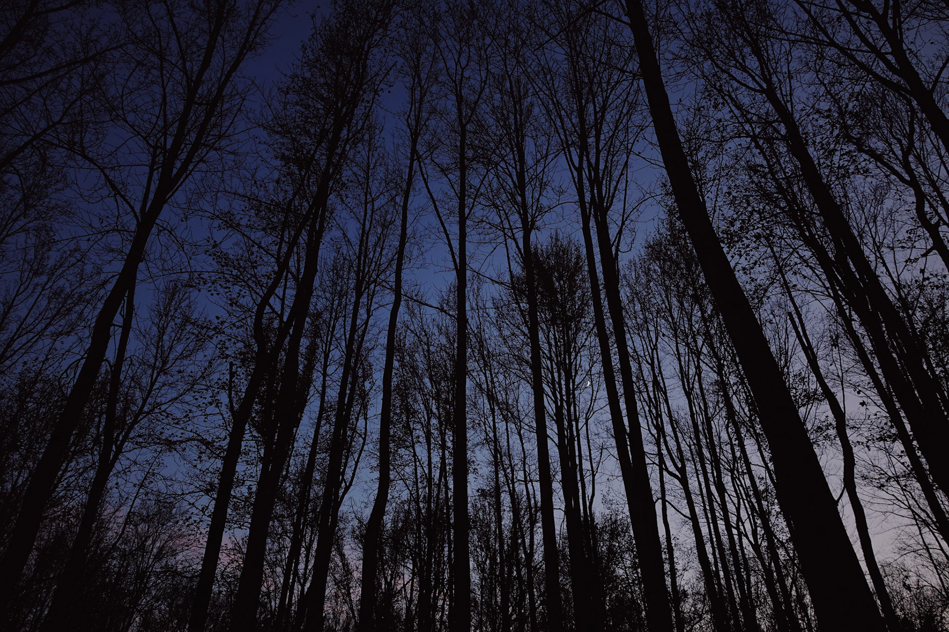                                 Processed with VSCO with au5 preset