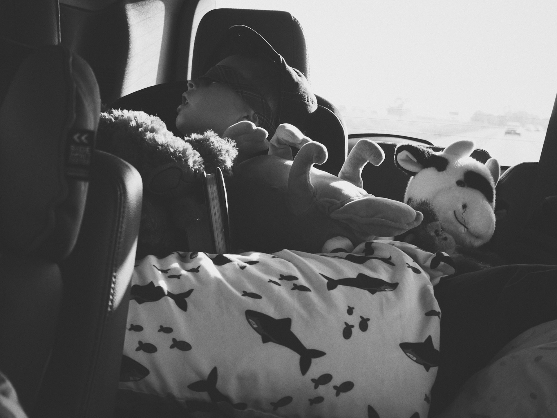 Processed with VSCO with x1 preset