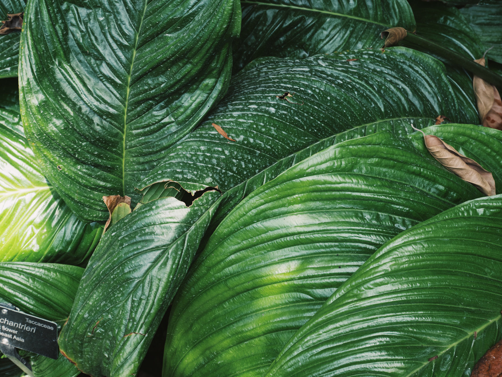 Processed with VSCO with fp8 preset