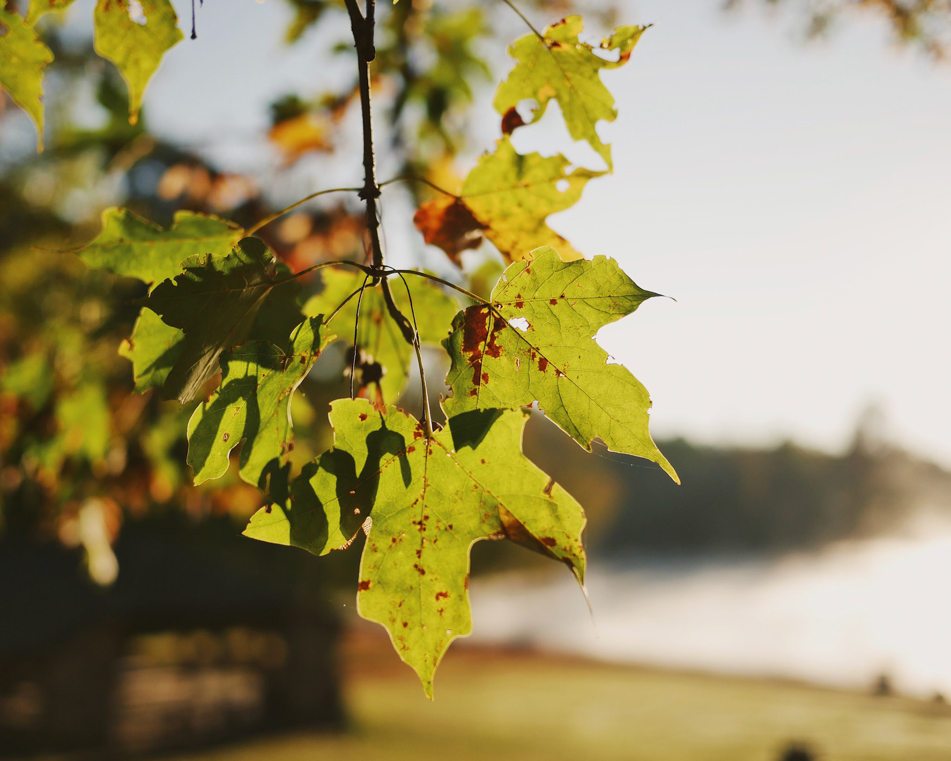 Processed with VSCO with fp8 preset