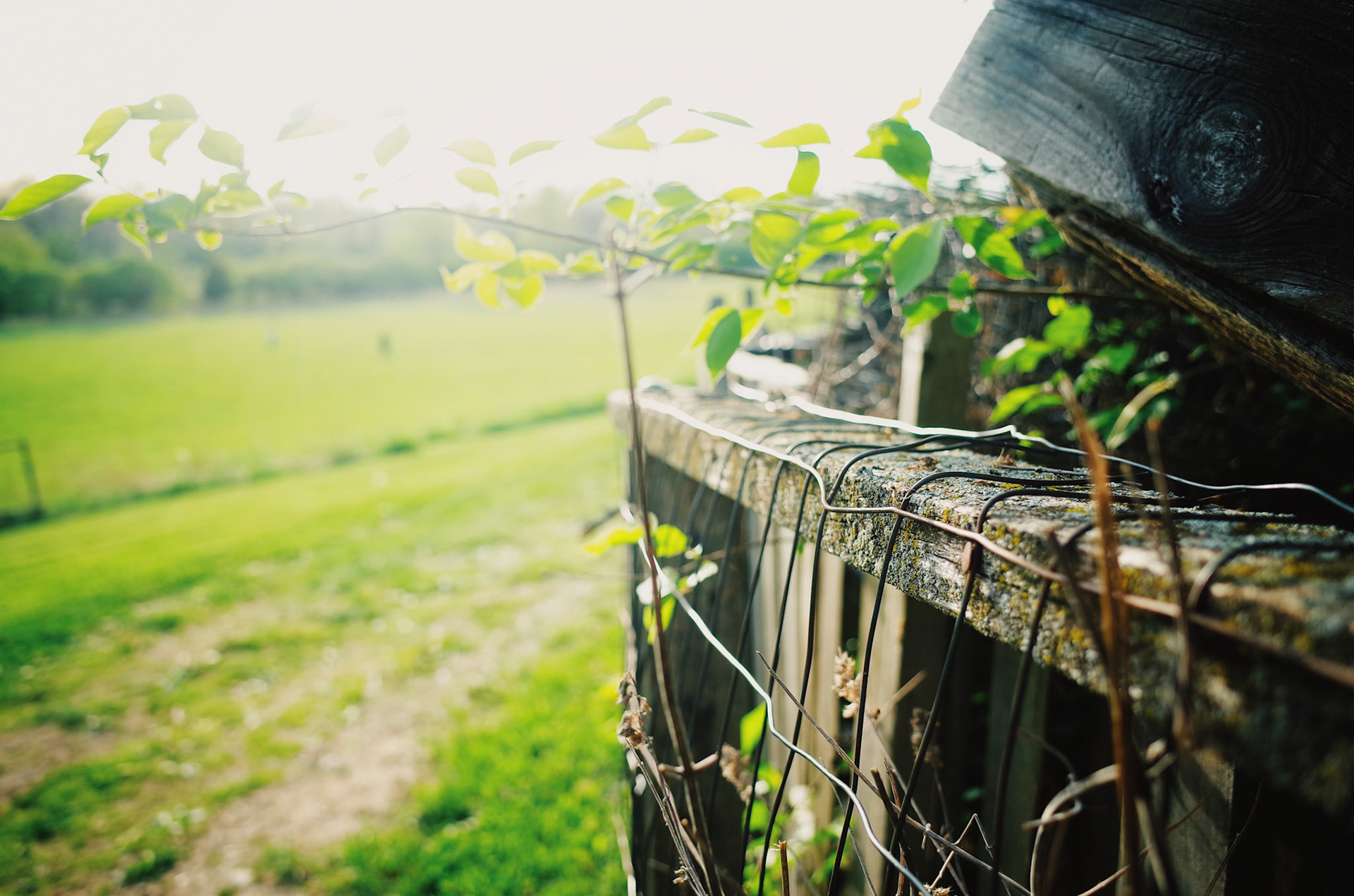 Processed with VSCO with ke1 preset