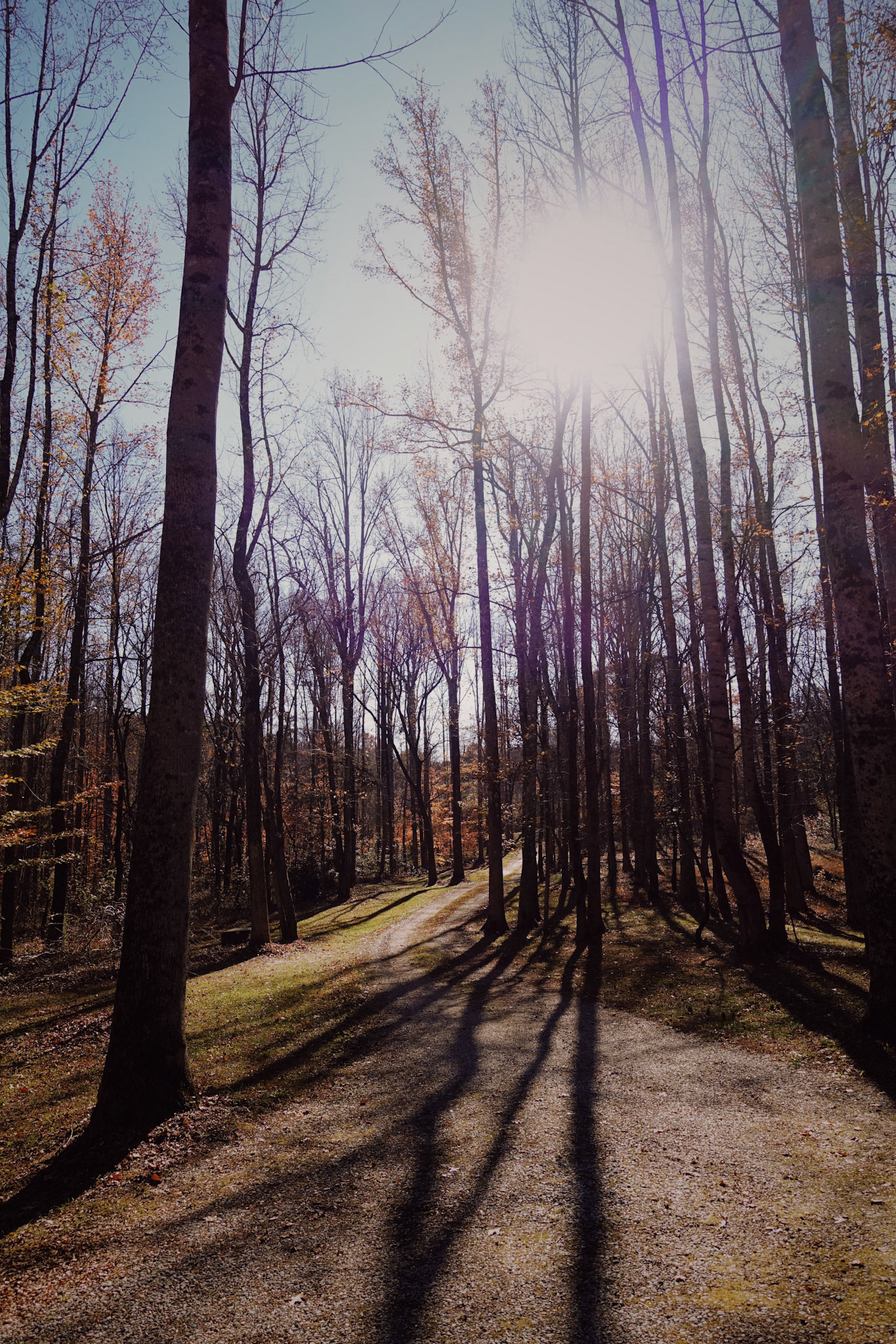                                 Processed with VSCO with au5 preset