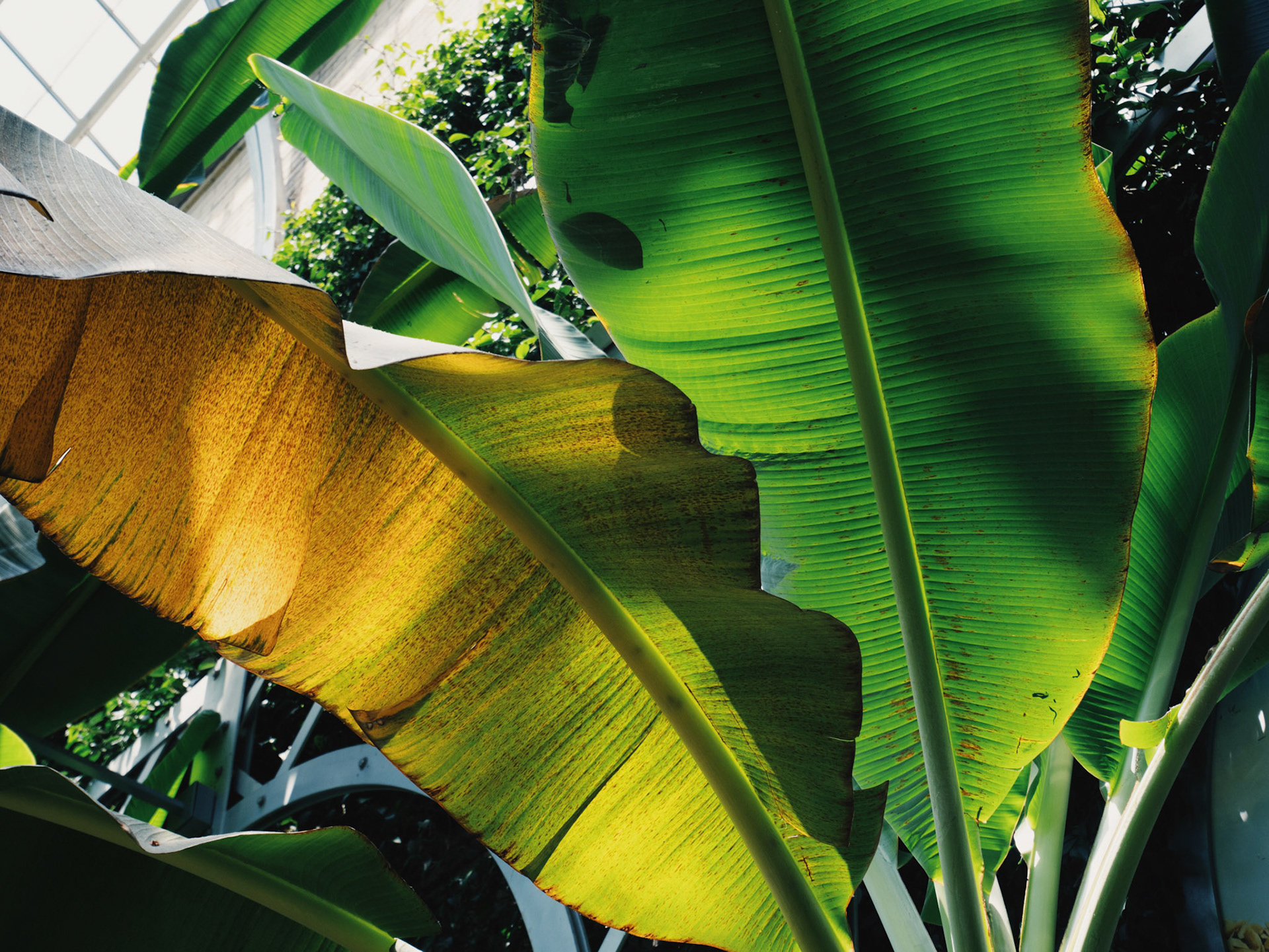 Processed with VSCO with ke1 preset