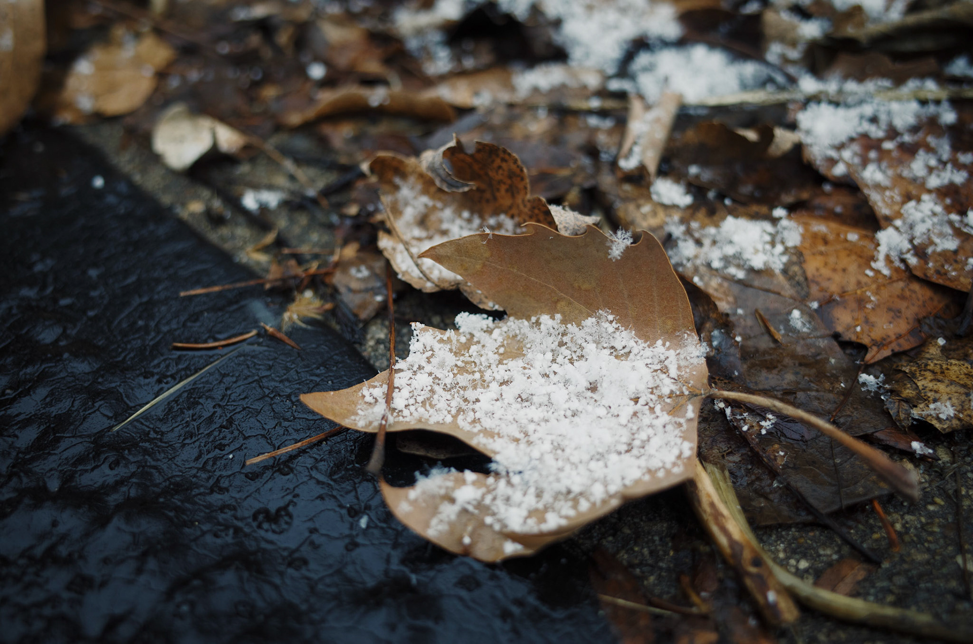 Processed with VSCO with ke1 preset