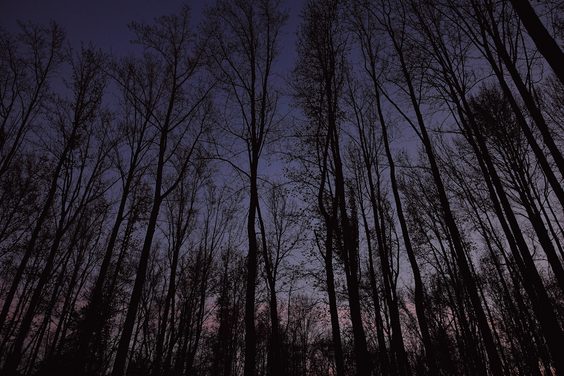                                 Processed with VSCO with au5 preset