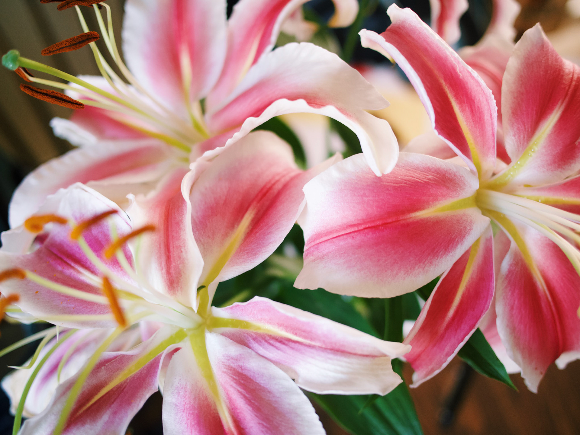 Processed with VSCO with c1 preset