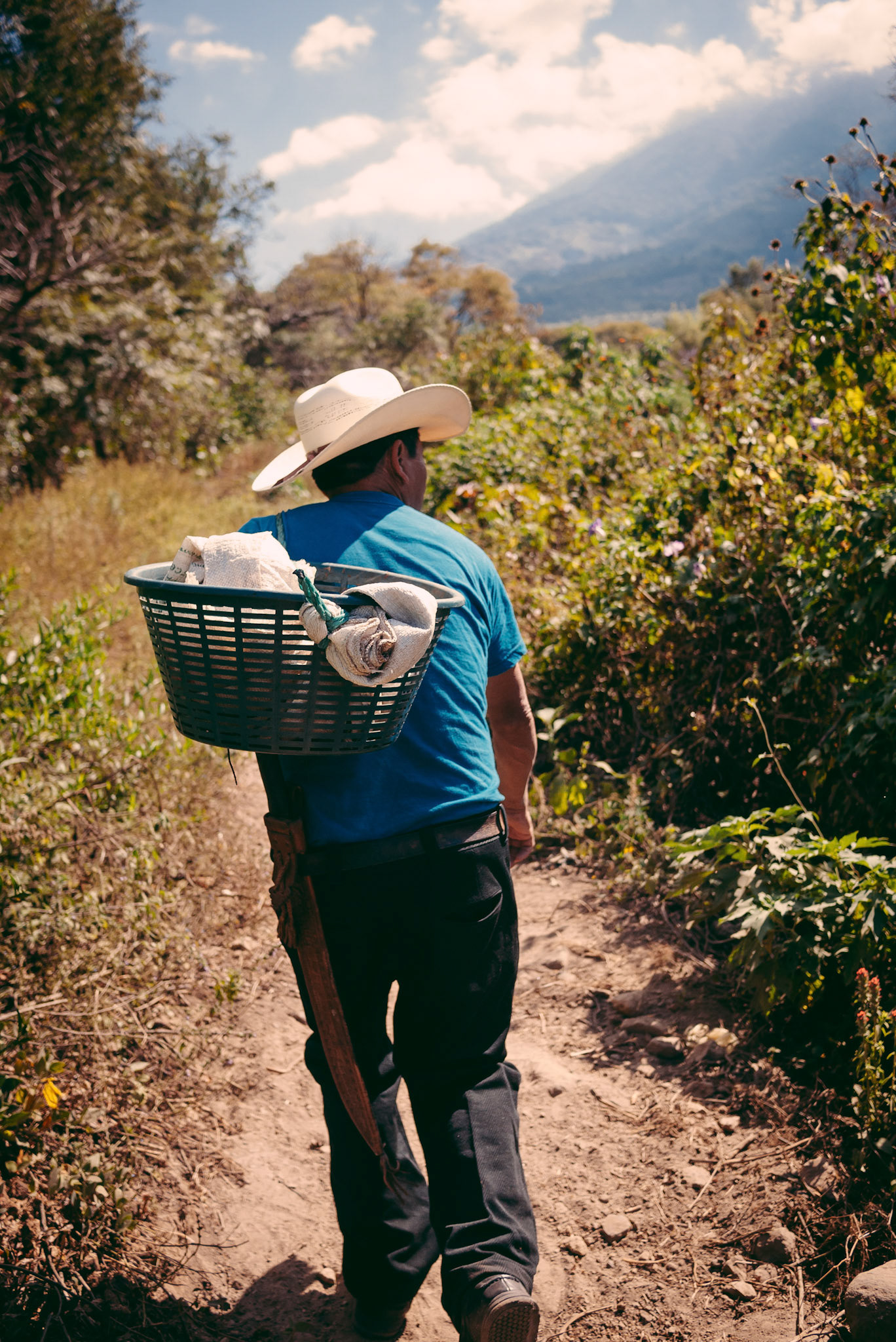 Our farmer, Don Filiberto, leading the way up the mountainside.