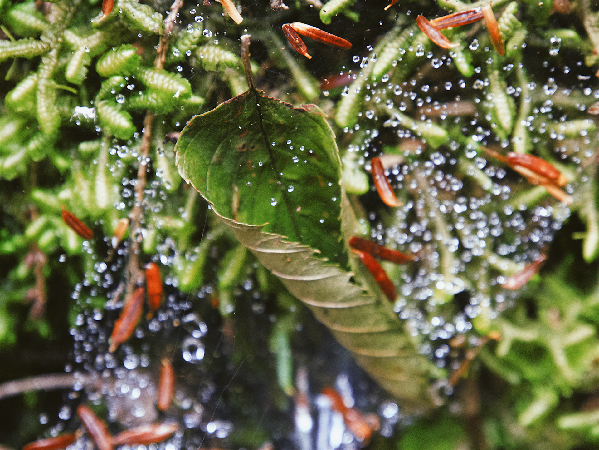 Processed with VSCO with fr4 preset