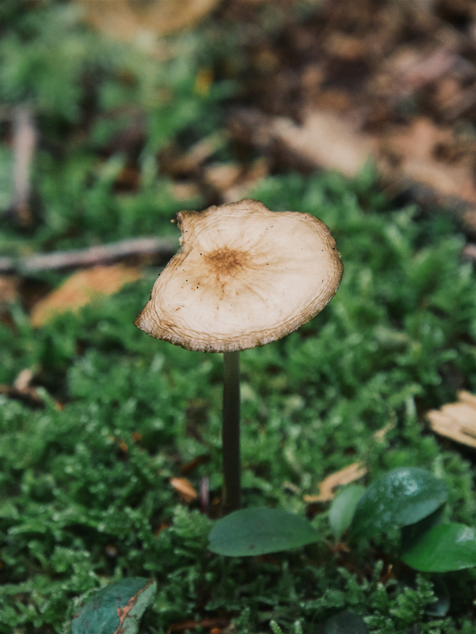 Processed with VSCO with g3 preset