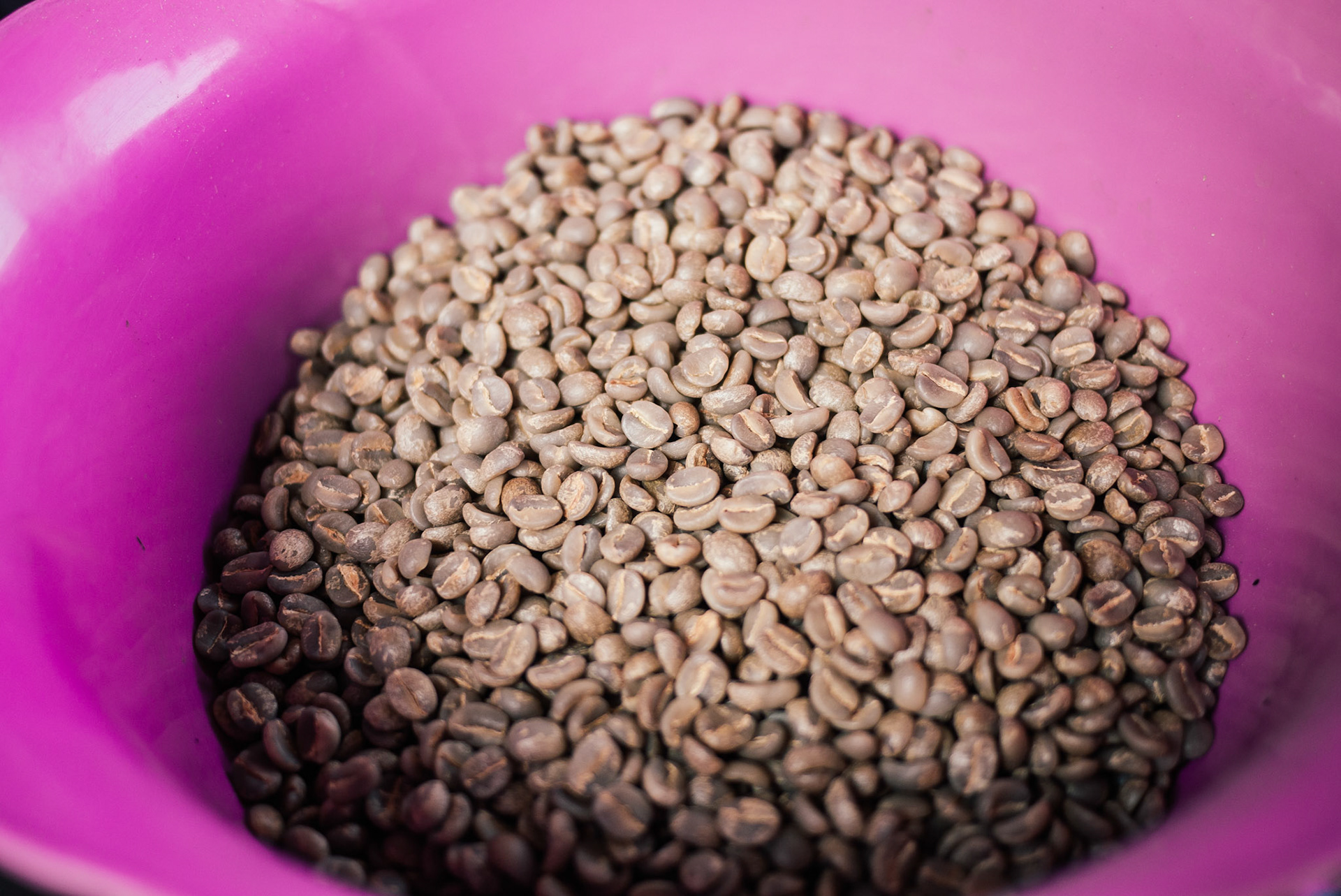 Good beans! Very good!