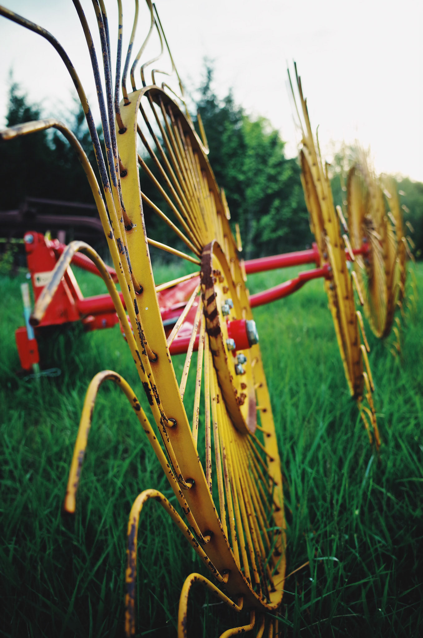 Processed with VSCO with fp8 preset