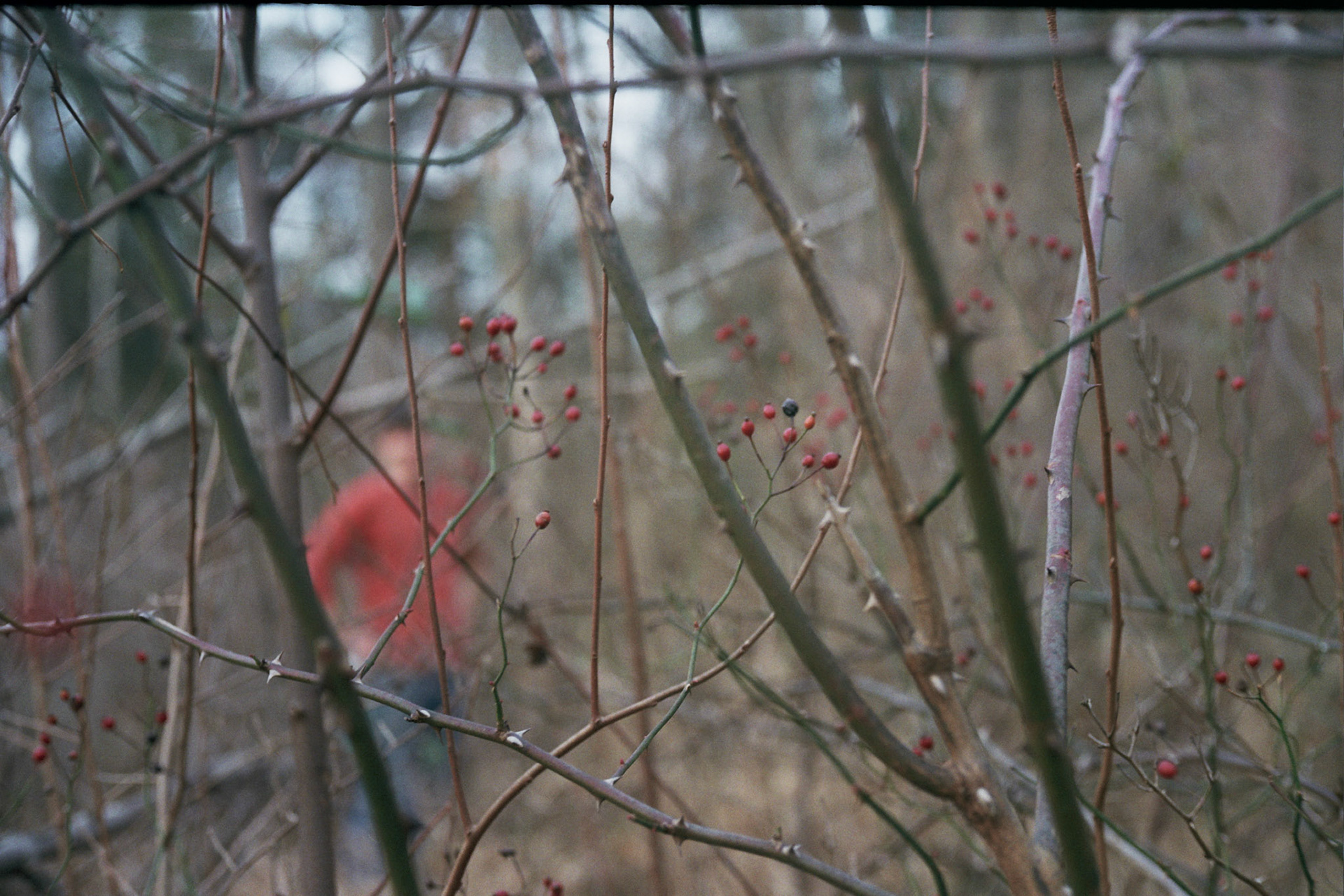 Caesar's Creek - Christmas Day 2015