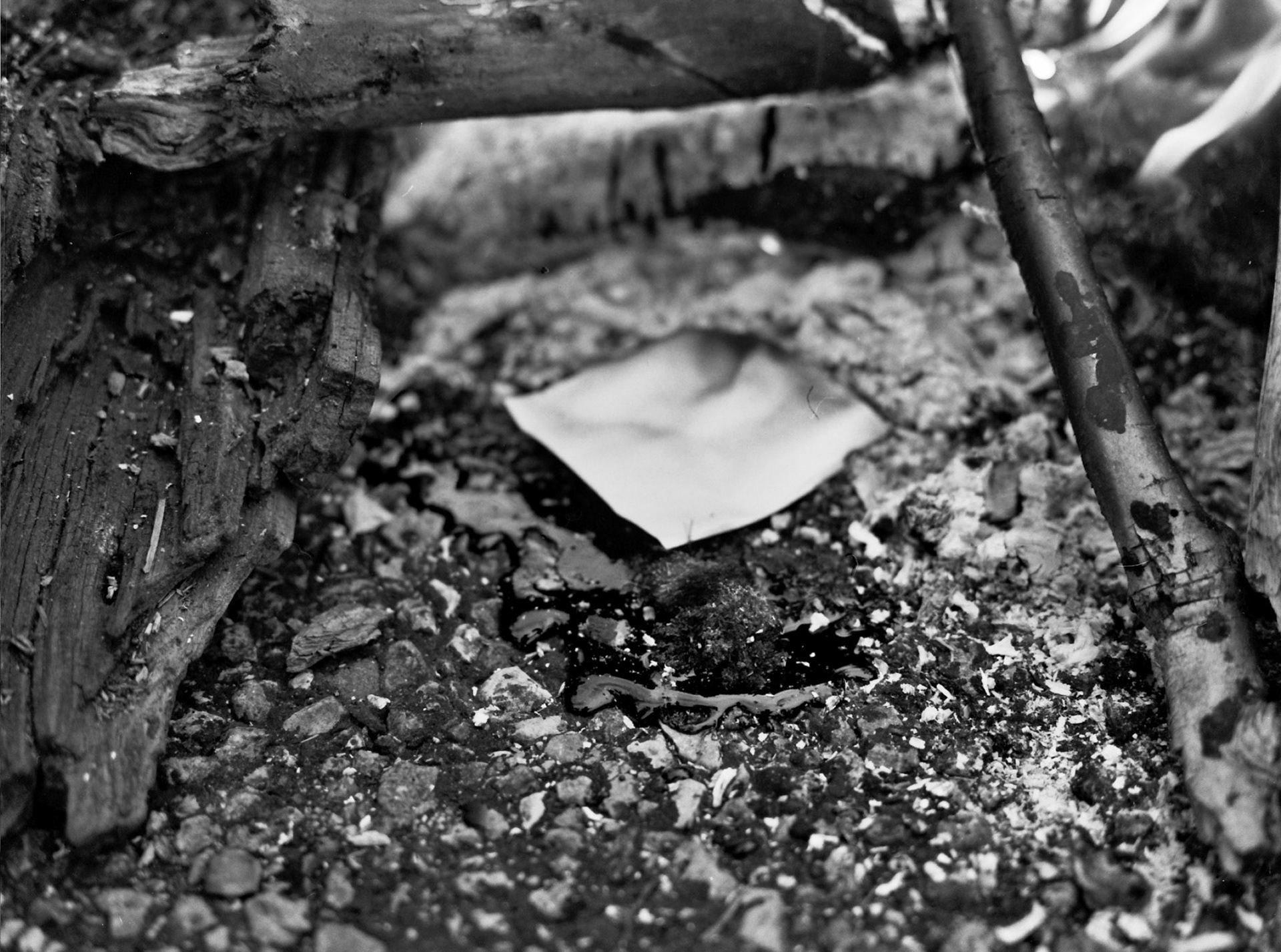 Caesar's Creek - Christmas Day 2015