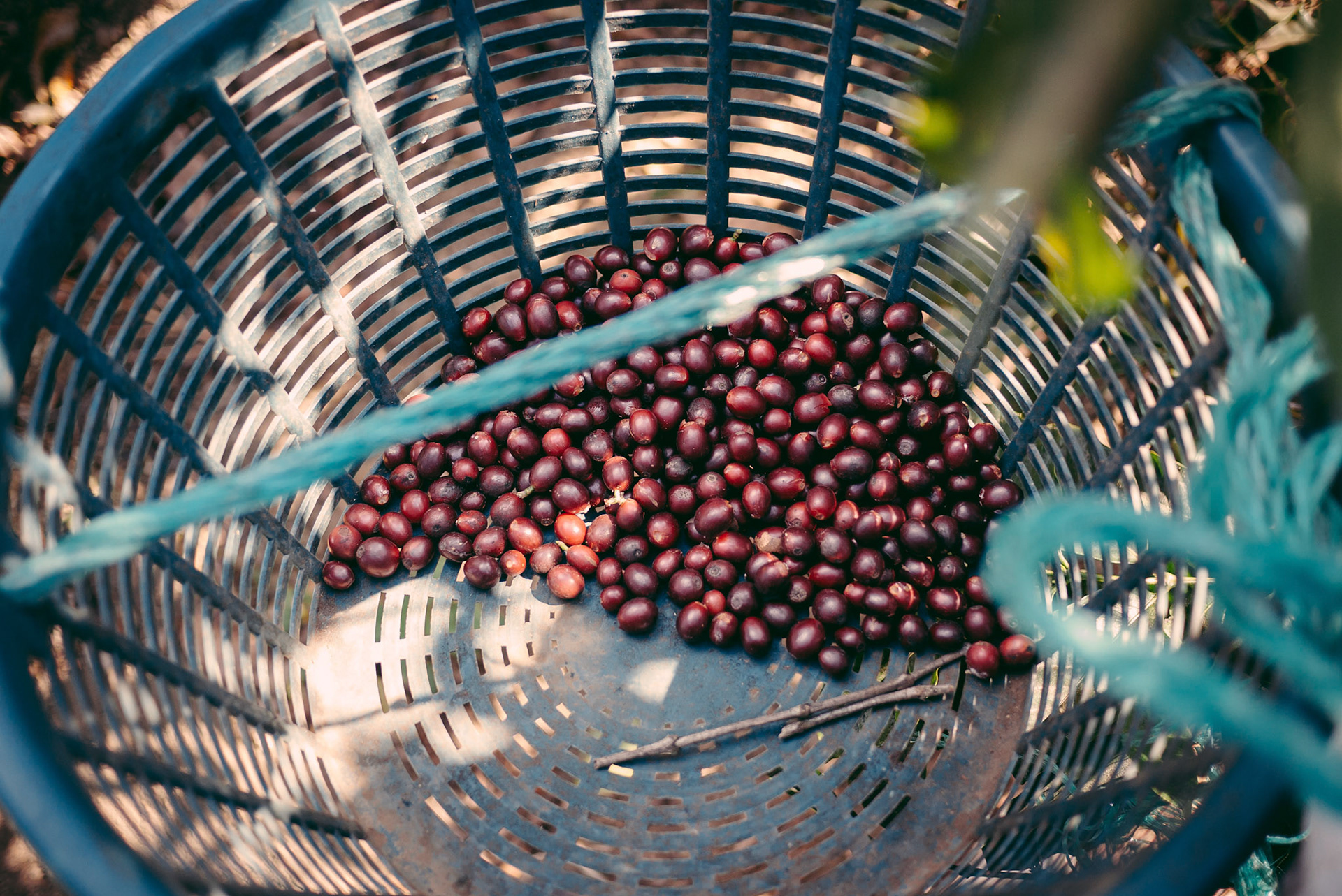 It doesn't look like much, which makes all the work that much less rewarding.