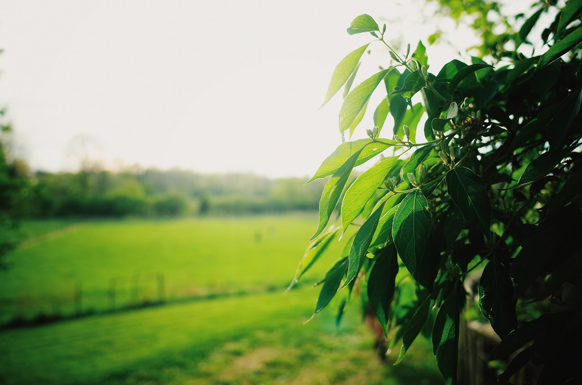 Processed with VSCO with ke1 preset