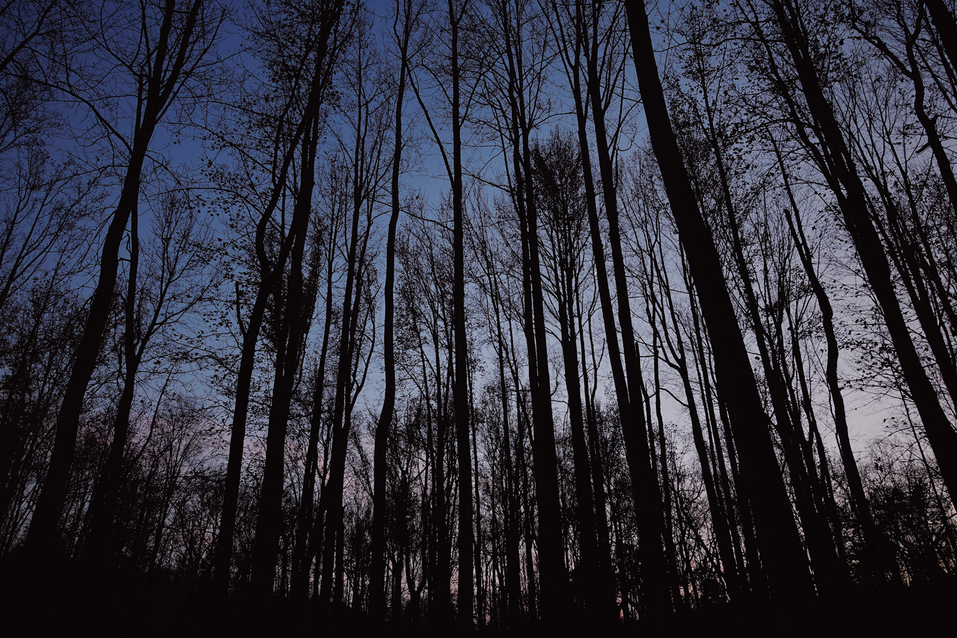                                 Processed with VSCO with au5 preset