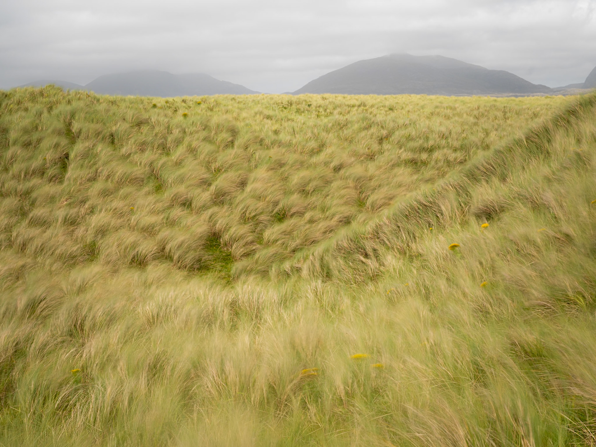 The windswept dunes of Luskentyre; Isle of Harris, Scotland.