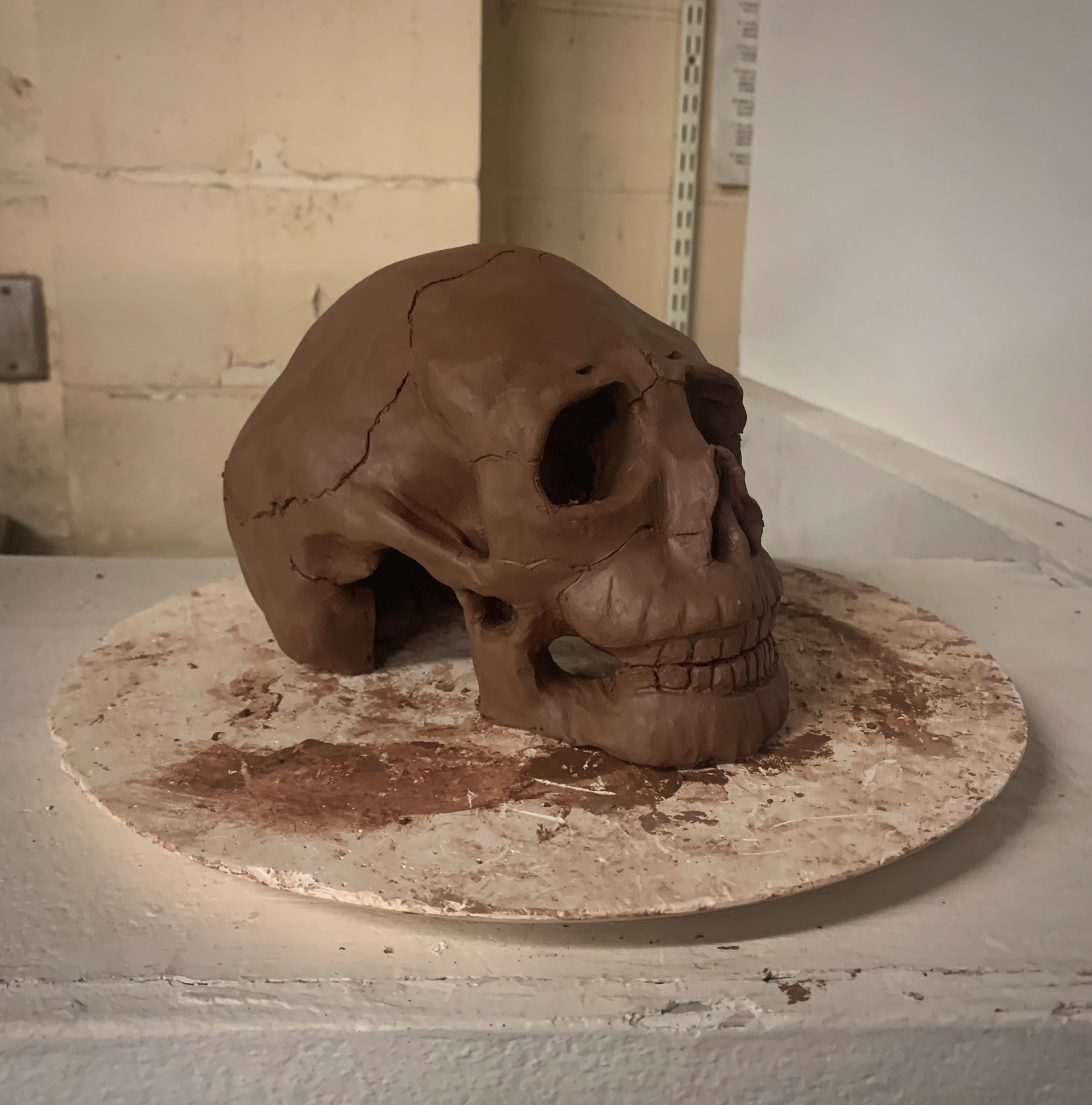 Skull | Clay