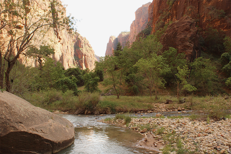 Zion | Temple of Sinawava