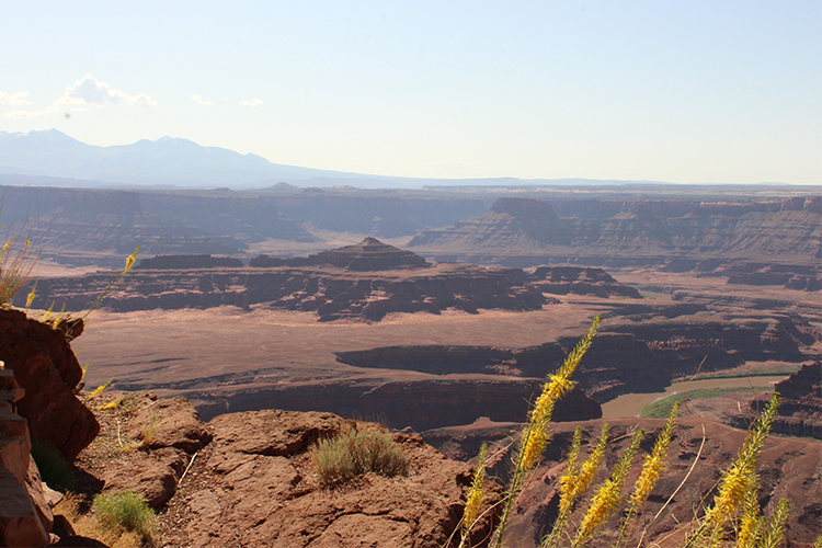 Canyonlands