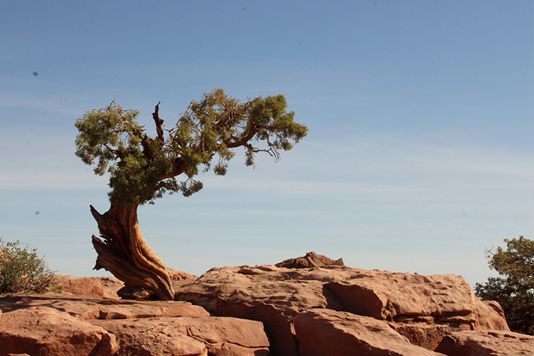Canyonlands