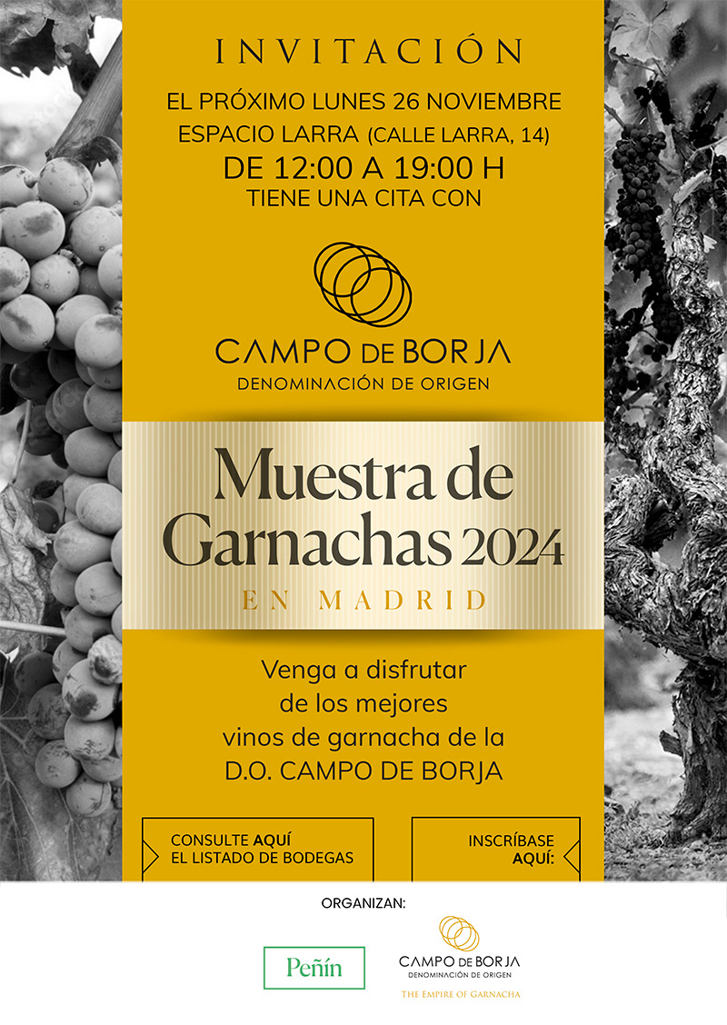 Peñín Campo de Borja