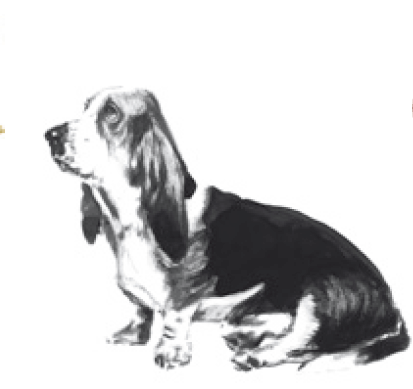 Ilustración creada para la Unidad Móvil Veterinaria