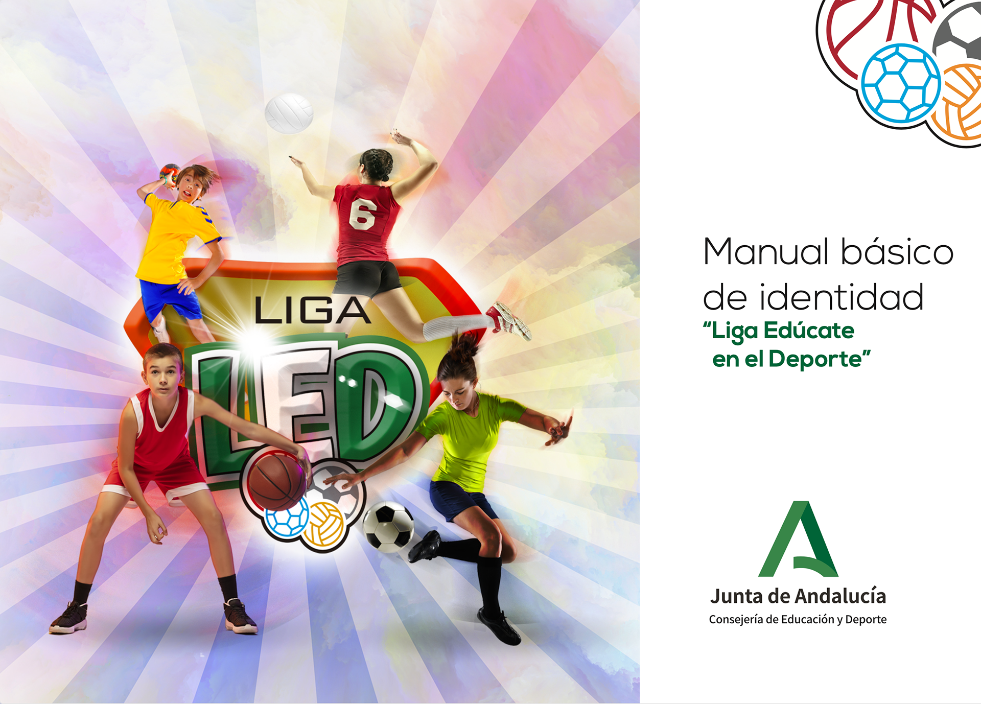 Creación logo Liga LED y manual de aplicaciones