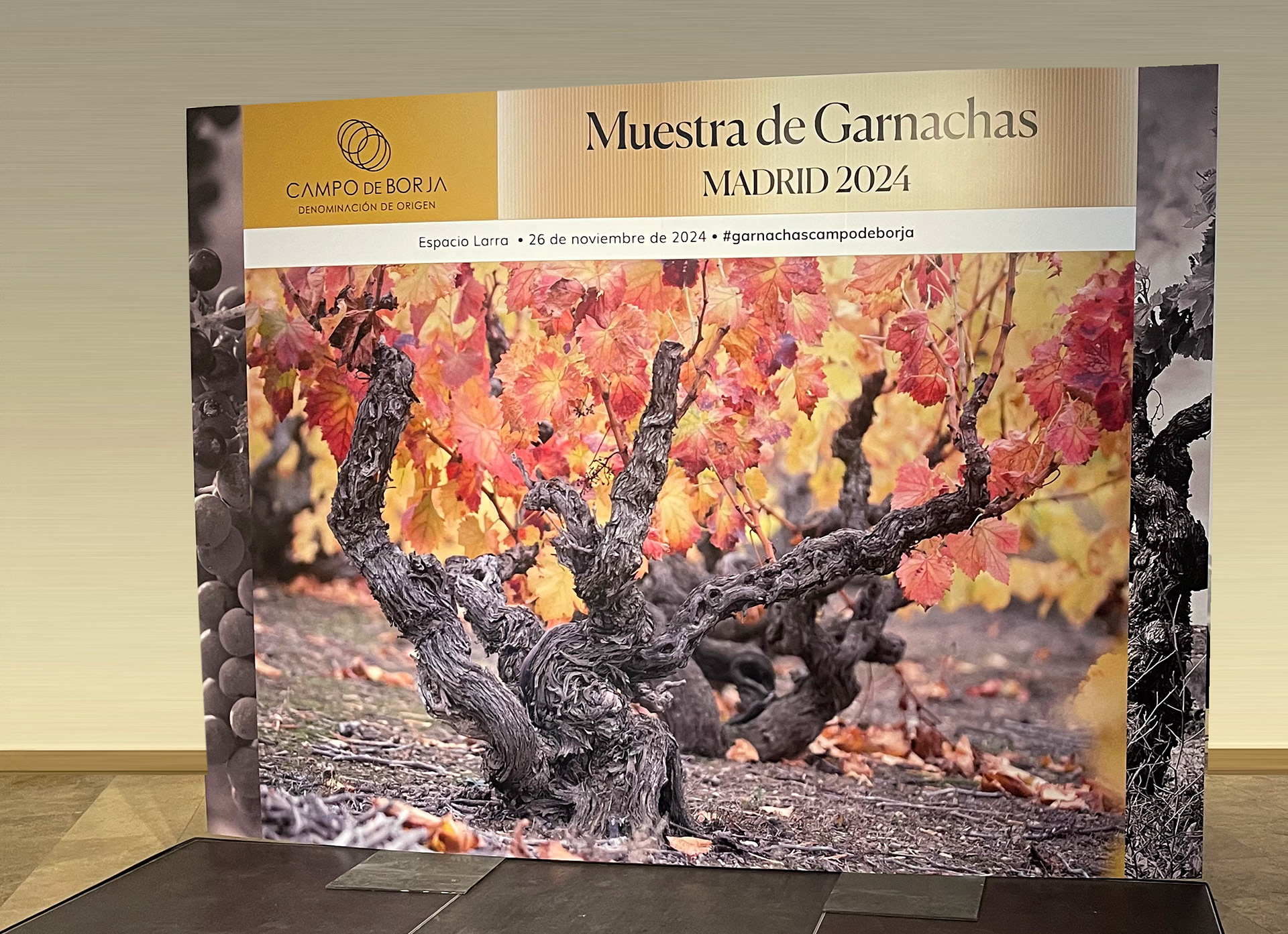 PEÑÍN, MUESTRA DE GARNACHAS - imagen principal