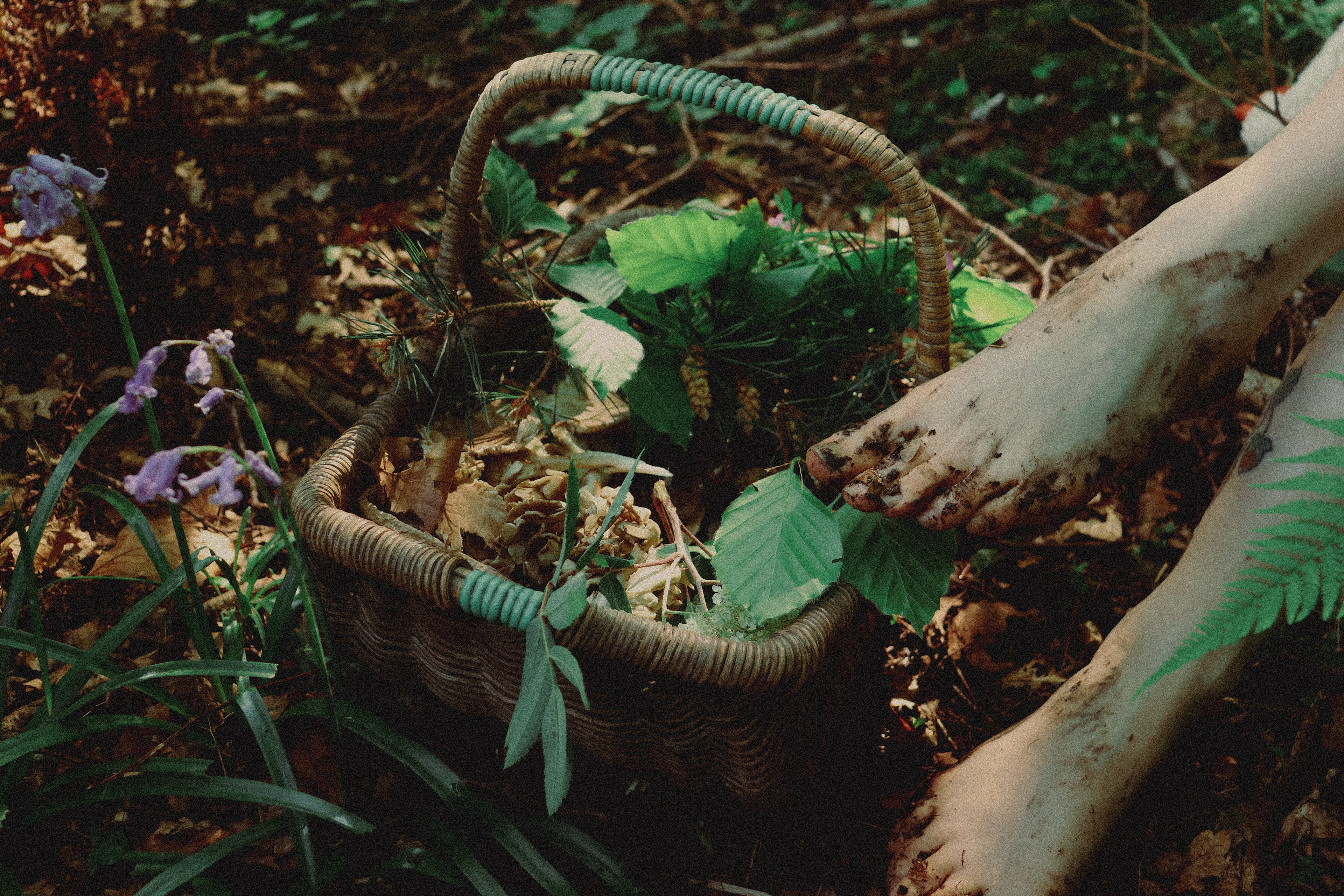 Image Courtesy of Liv Hedges [Digital Photograph].