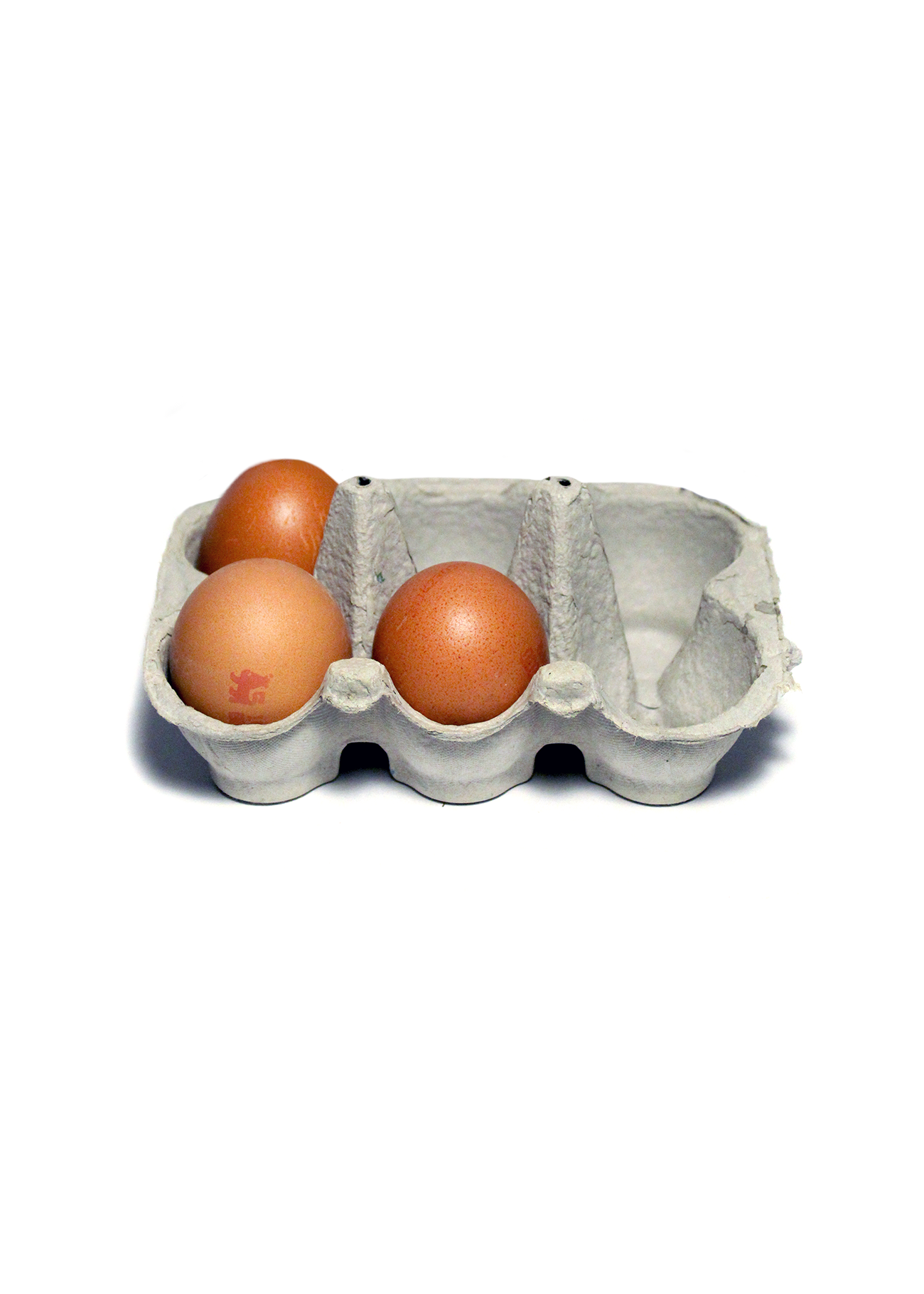 Image Courtesy of Liv Hedges [Digital Photograph].