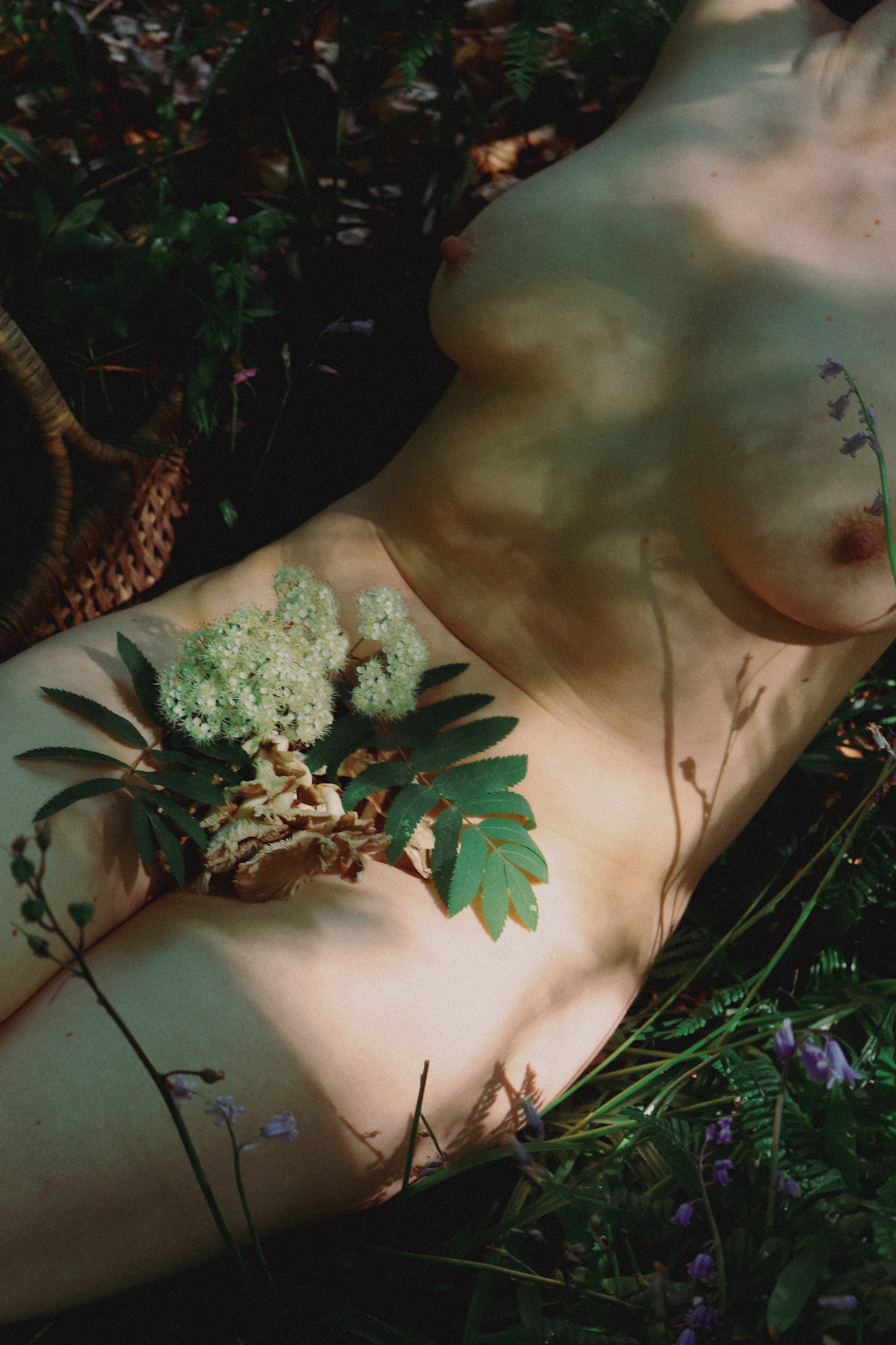 Image Courtesy of Liv Hedges [Digital Photograph].