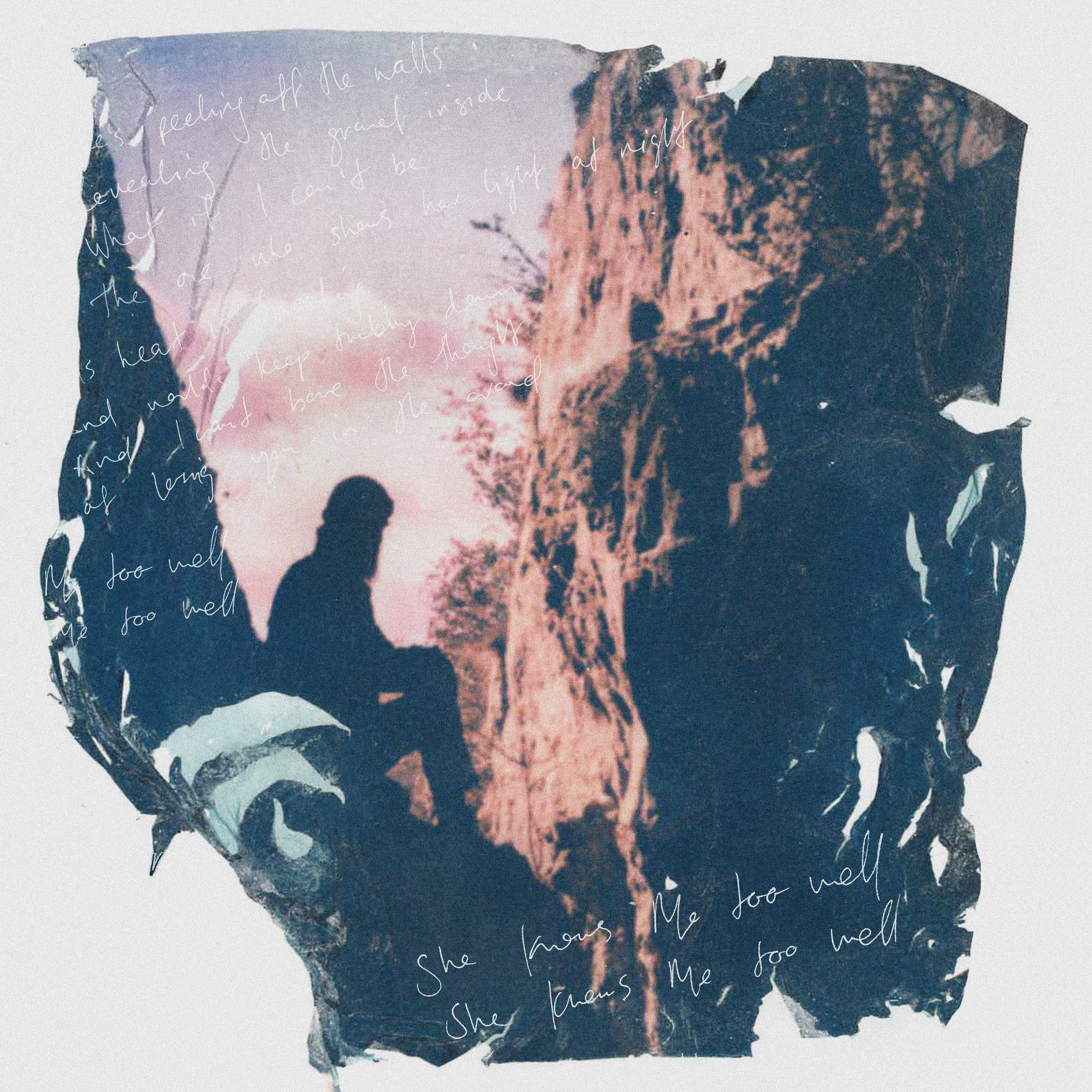 Image Courtesy of Liv Hedges and Will Killen [Polaroid Emulsion Lift (from Digital Photograph) on Colour i-Type Film, and Digital Illustration].