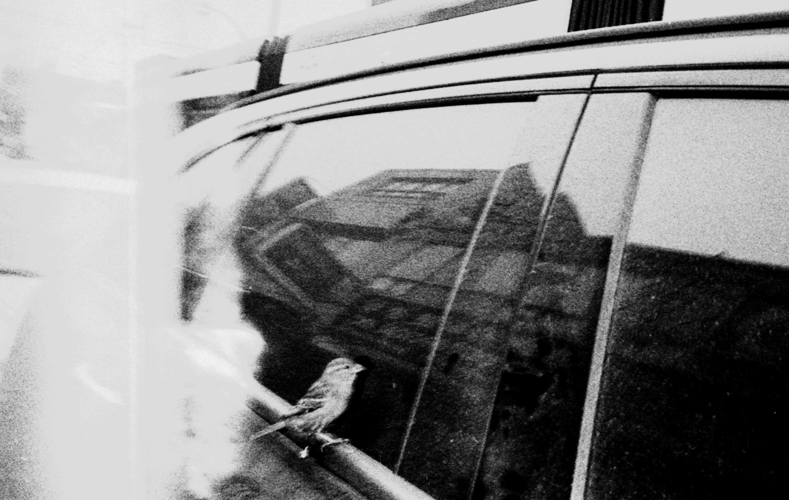 Nick Spector @nickspector