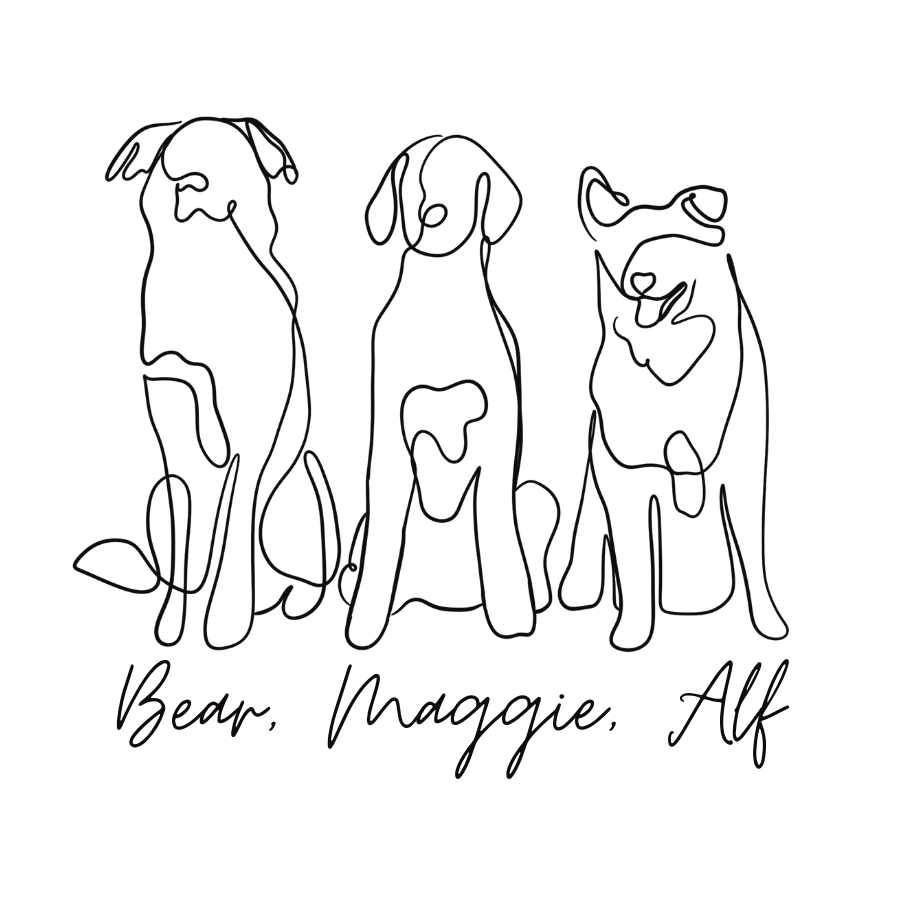 Bear Maggie Alf | Content Creation