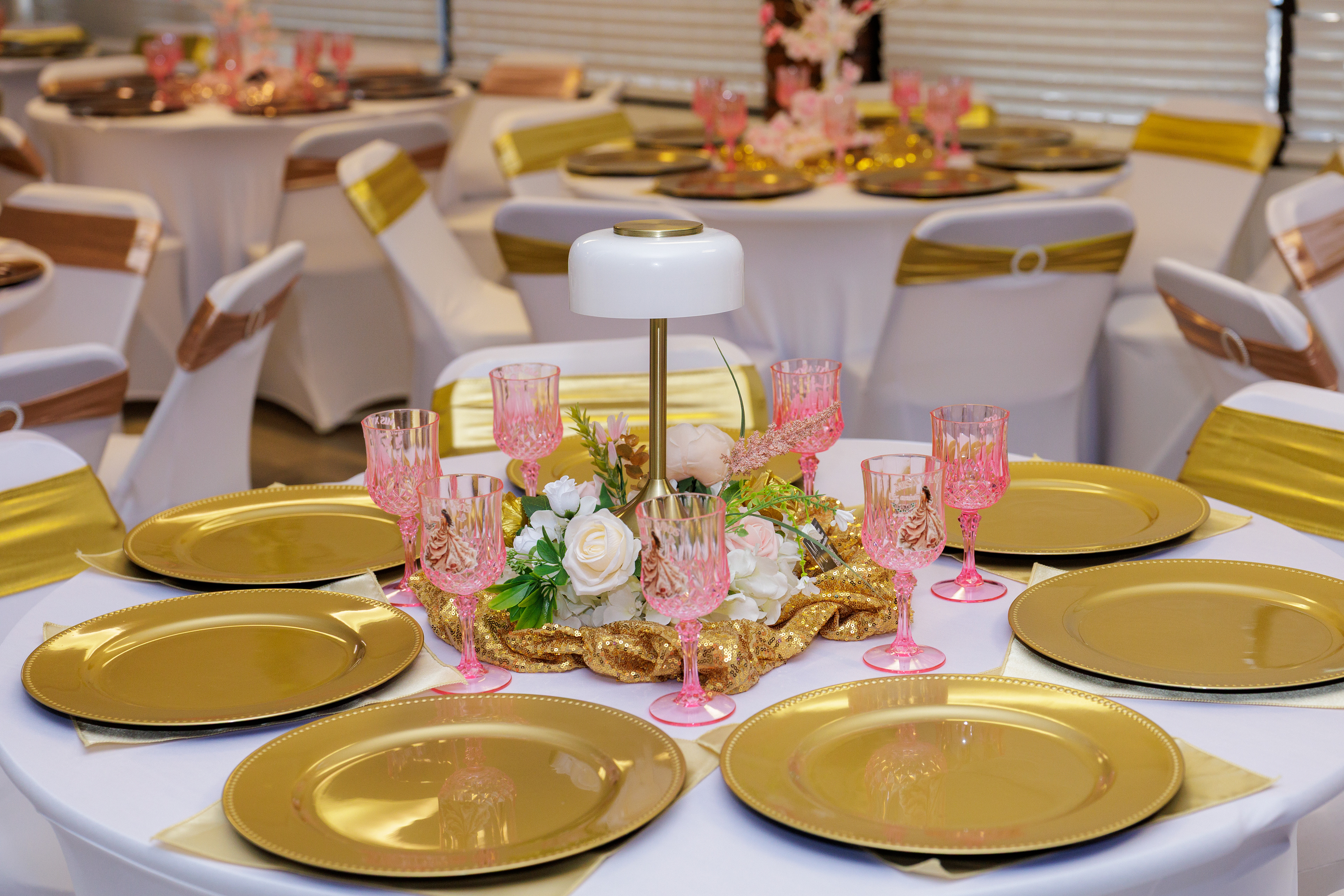 The Marcelos event center - 75 guests Mini QUinceañera