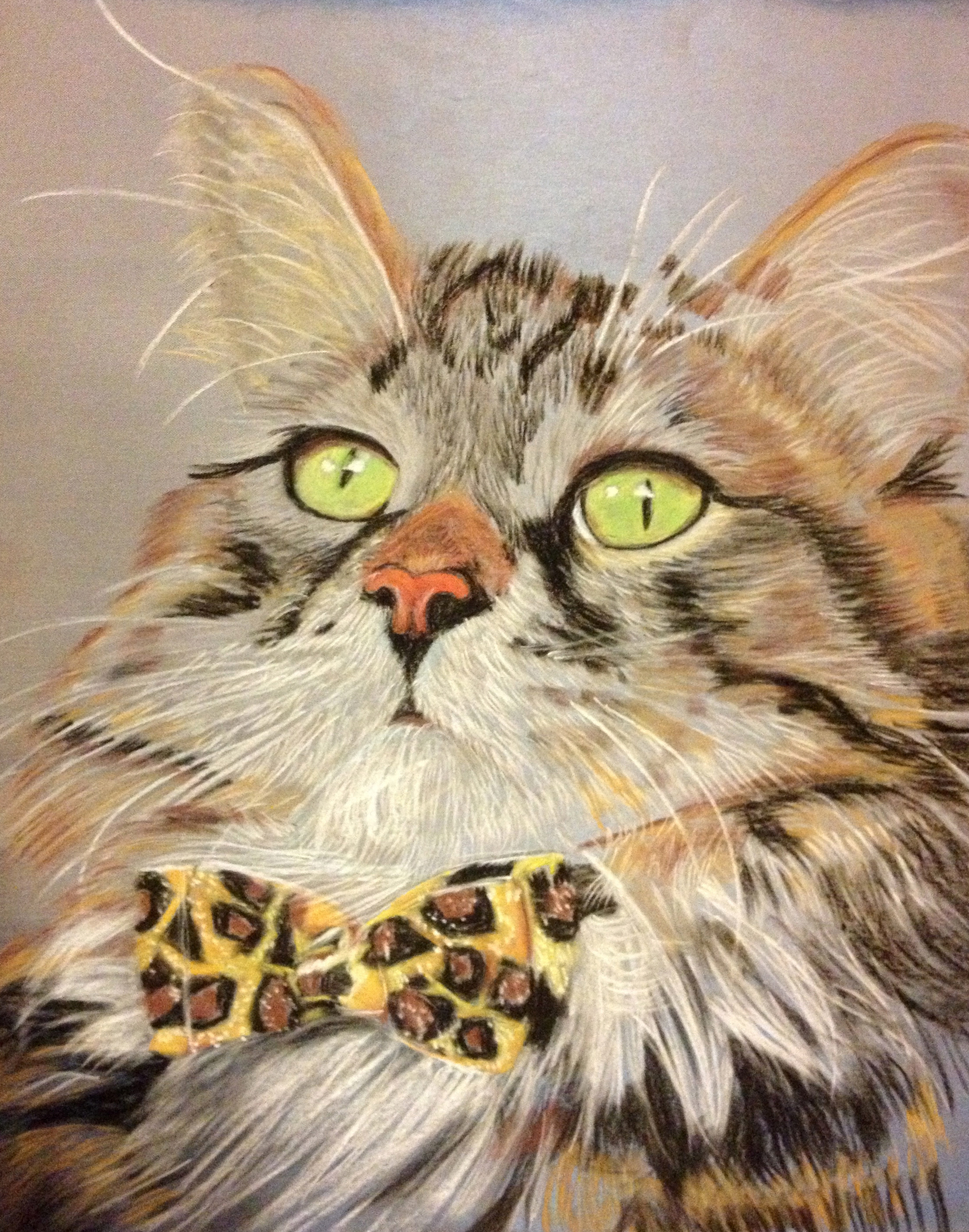 SOFT PASTEL PAINTING OF FINN