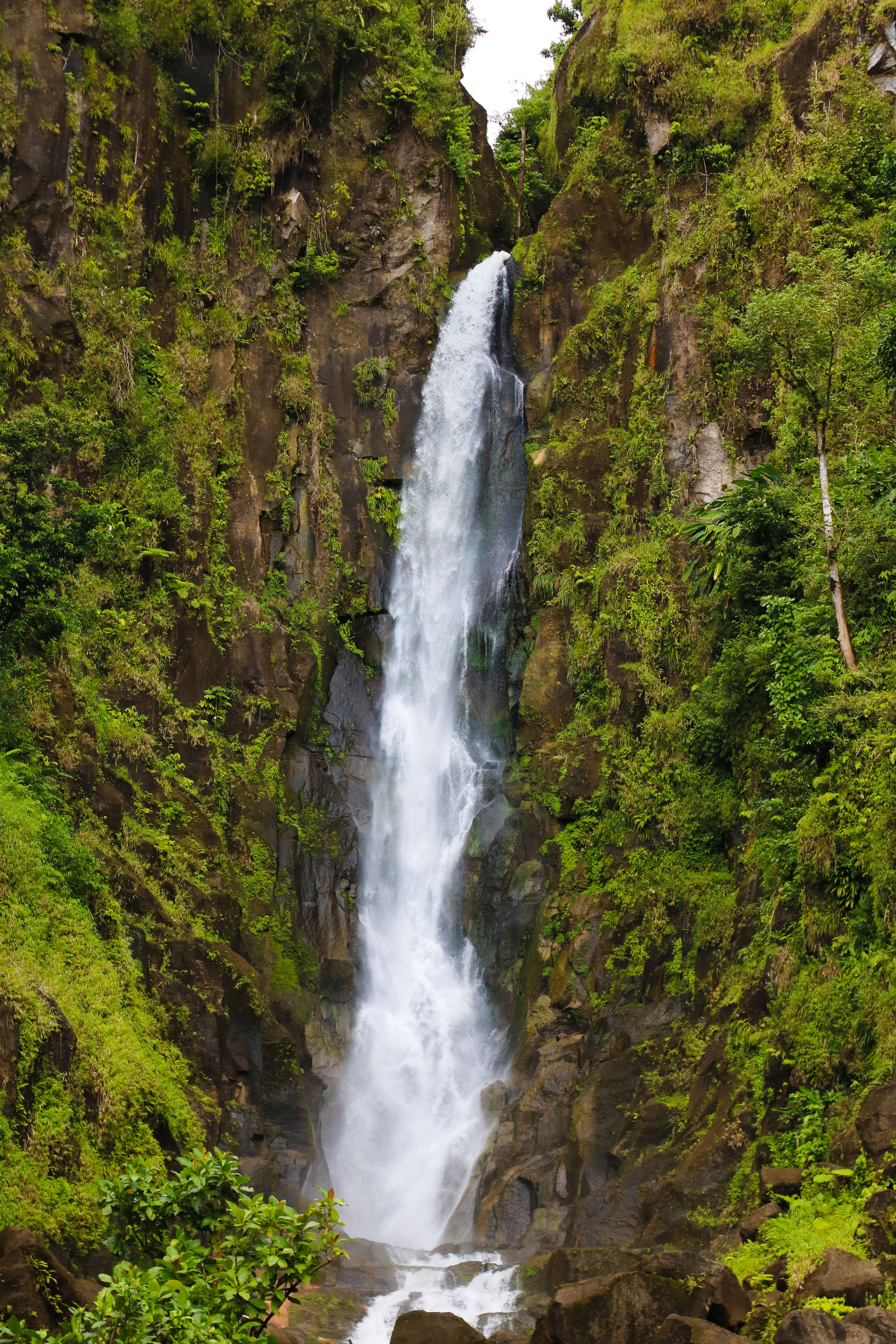 Trafalgar Falls, Dominica