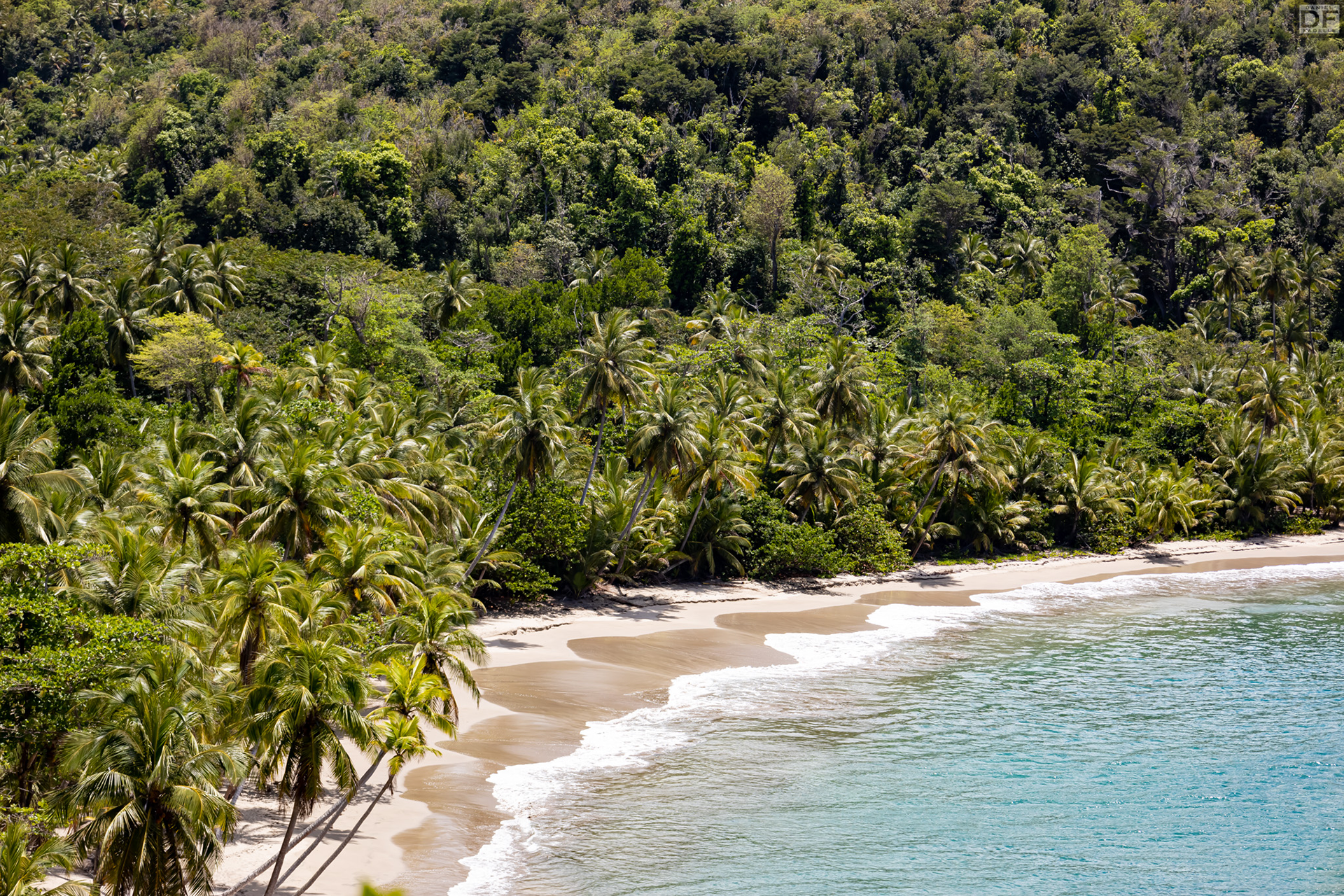 Batibou Bech, Dominica