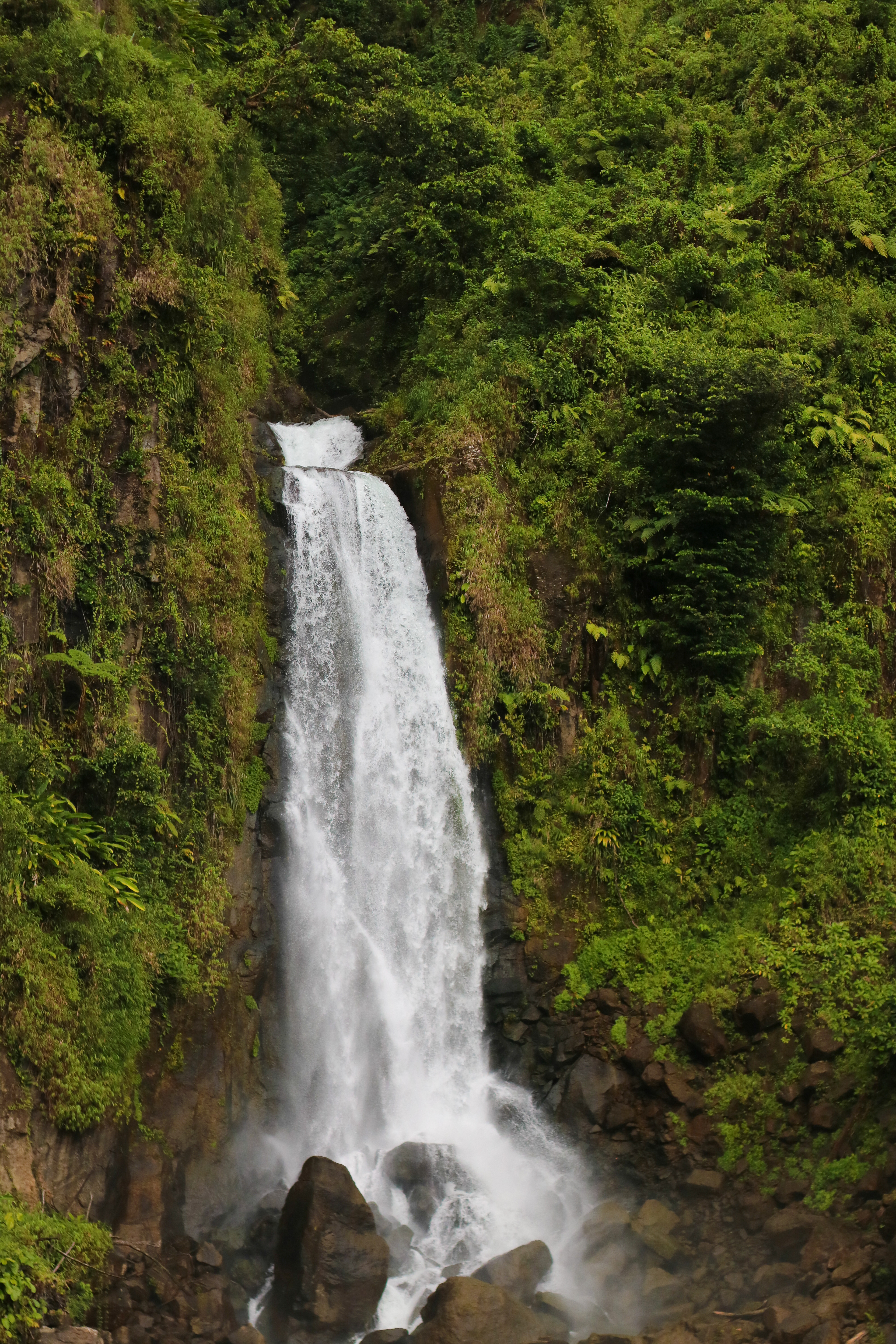 Trafalgar Falls, Dominica