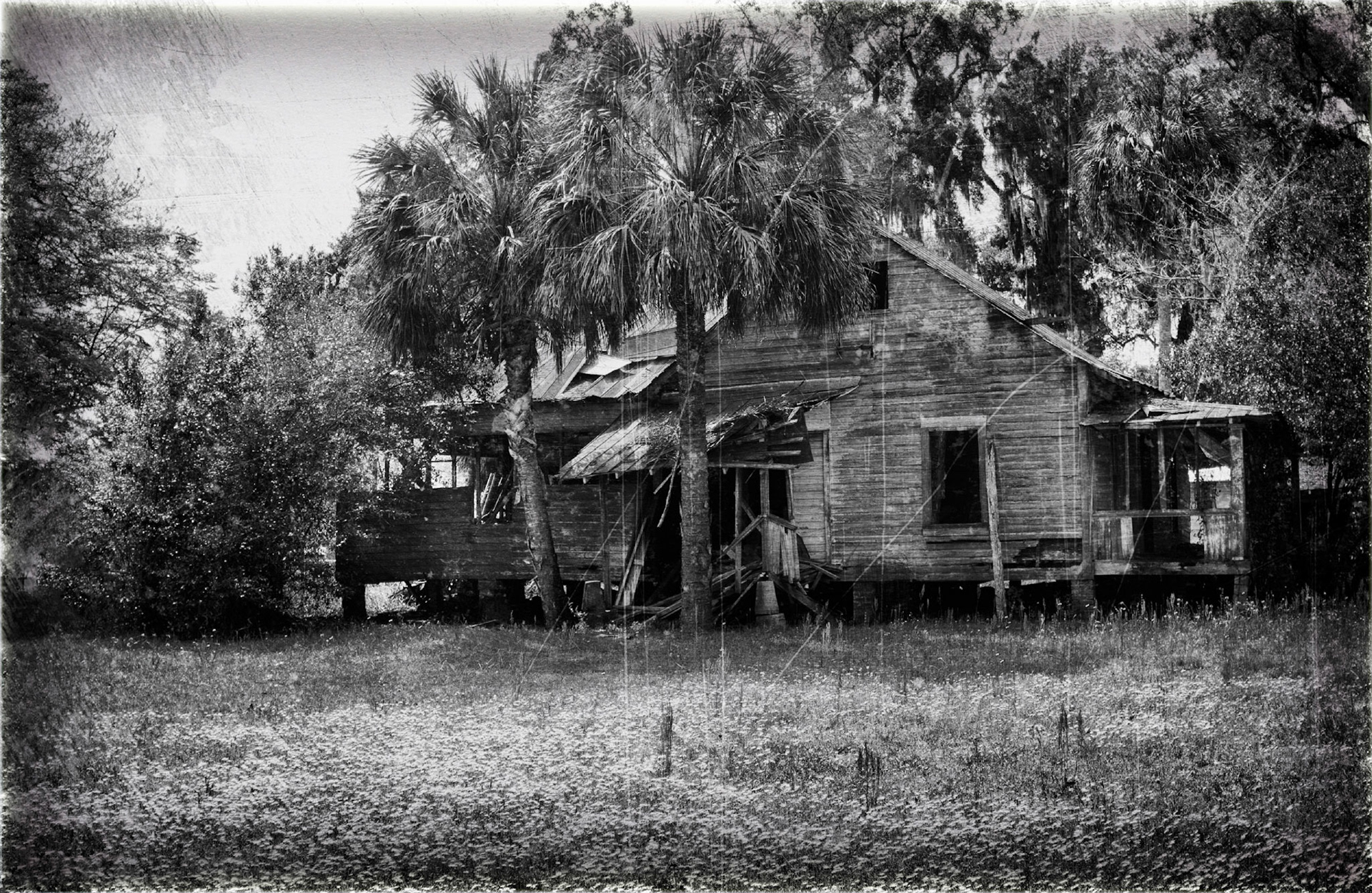 Bronson Florida