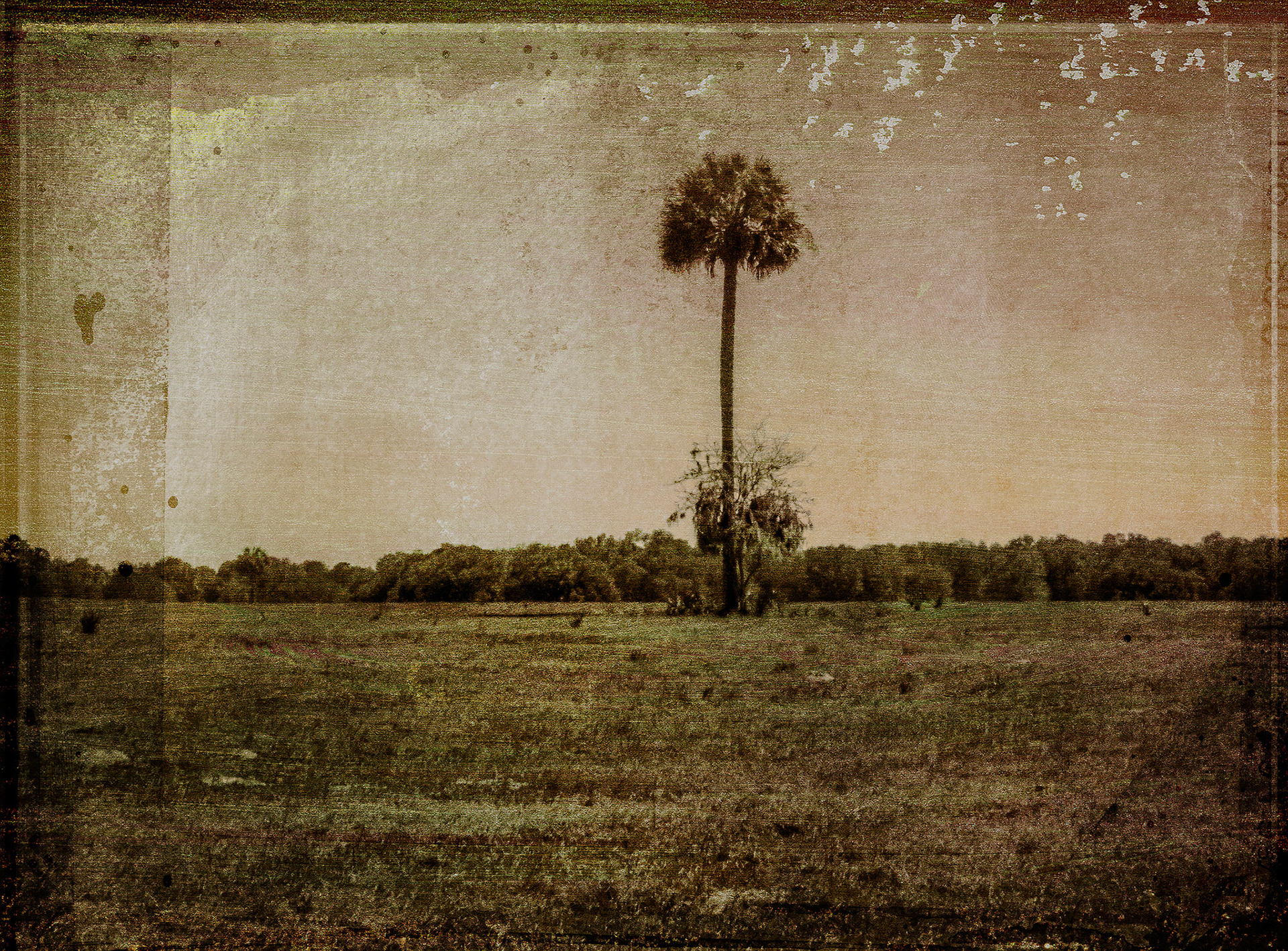 Alachua County Florida