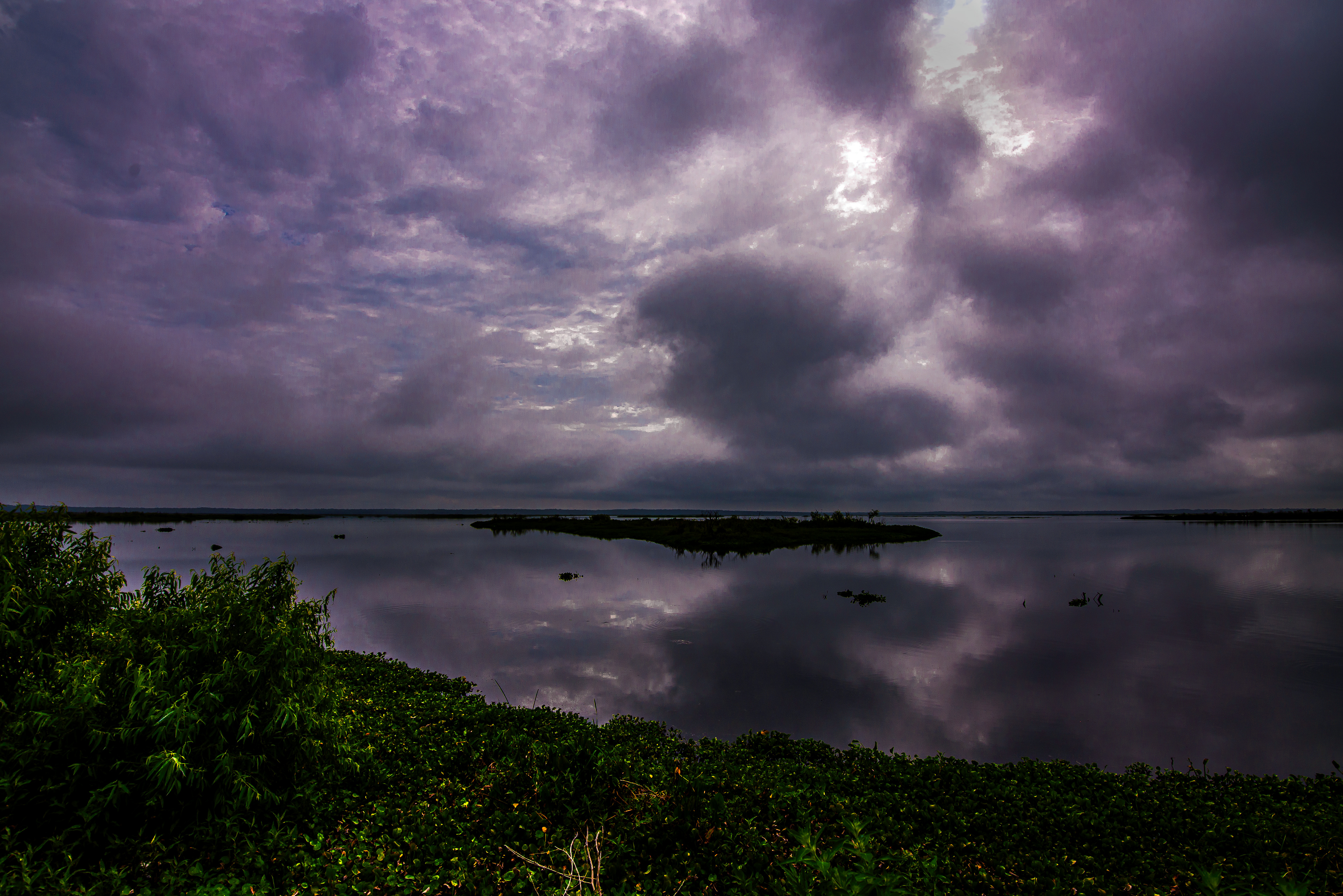 Purple Sky over Paynes Prairie